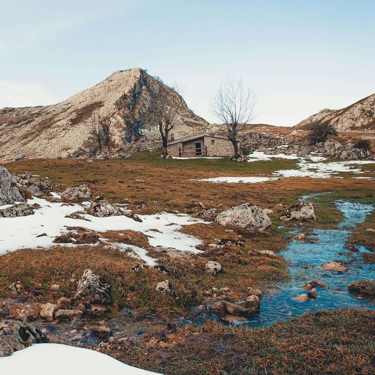 🌎☀️❄️🌳

As I step outside, I'm struck by the warmth enveloping me, a sensation usually reserved for later in the year. It's unseasonably warm for this time of year, a trend that seems to be becoming more common with each passing season. While many 