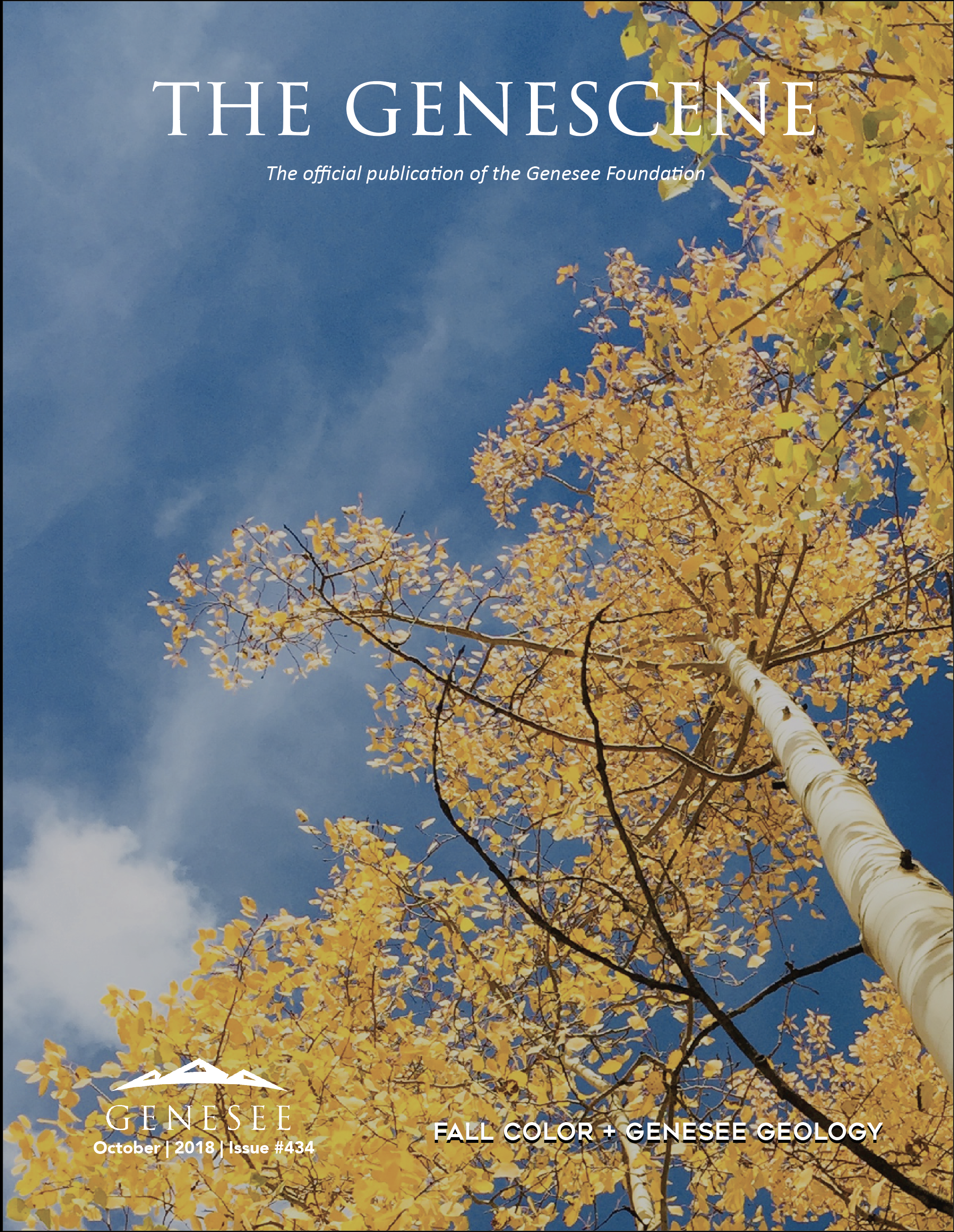 Screen Shot 2018-10-03 at 9.21.51 AM.png