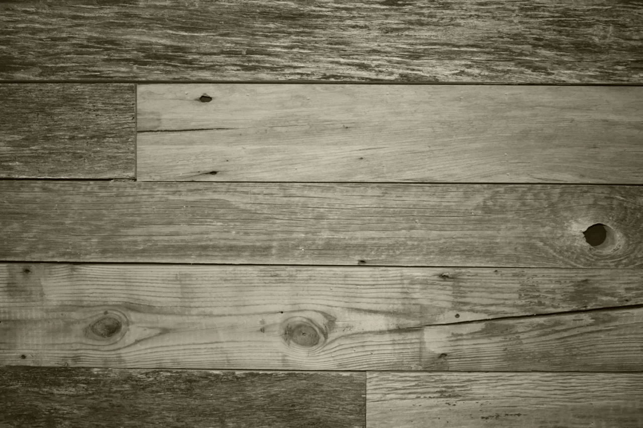 Education Accelerator Base Image Banner.jpg