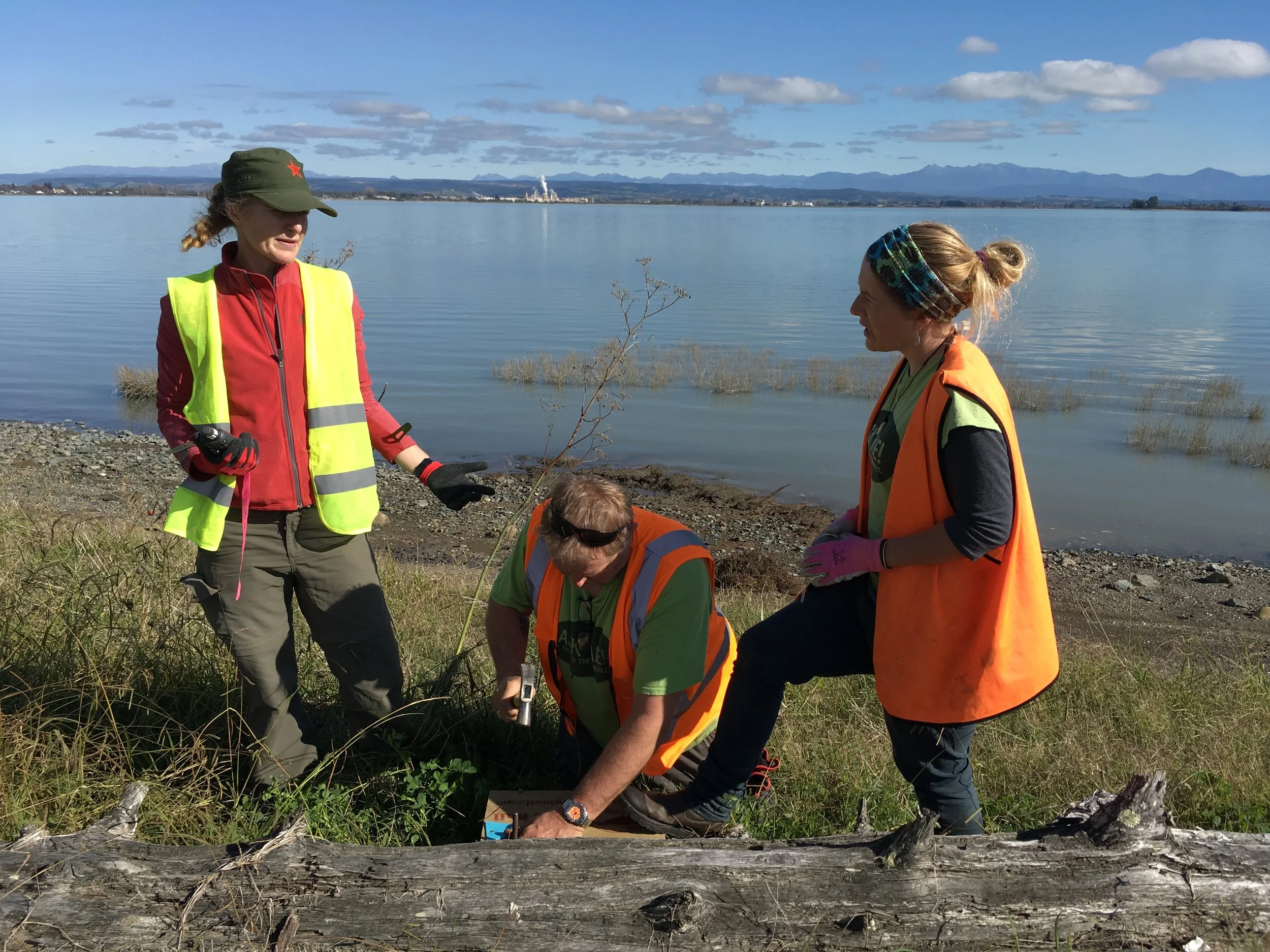Natureland monitors 3 km of traps for Battle for the Band Rail &amp; Nelson Nature