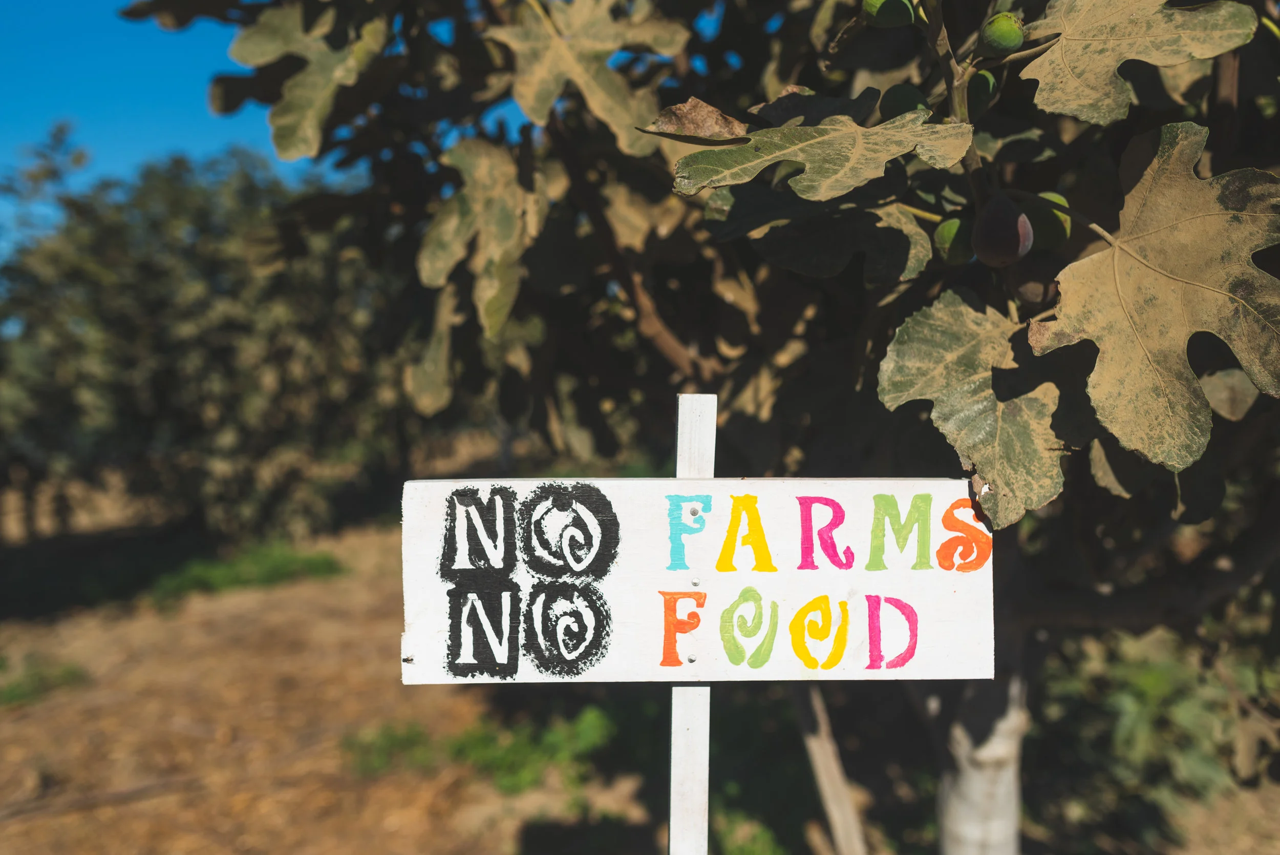 Farm-Day-2018-18.jpg