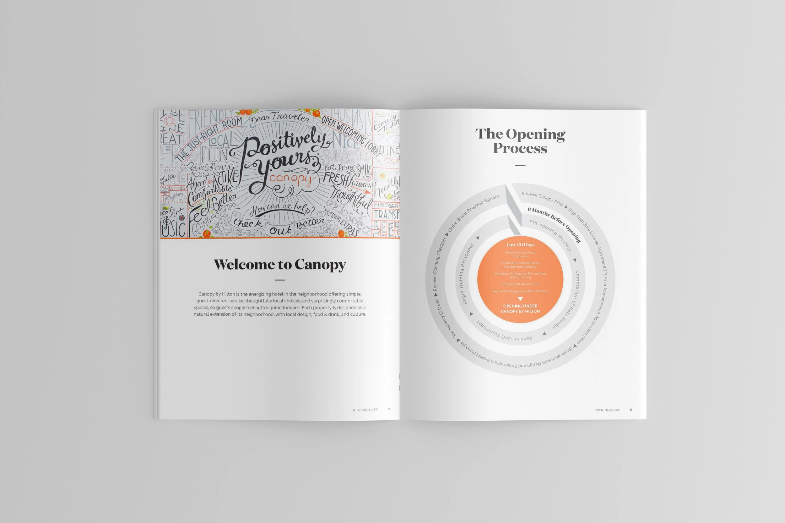Canopy by Hilton Openings Guide