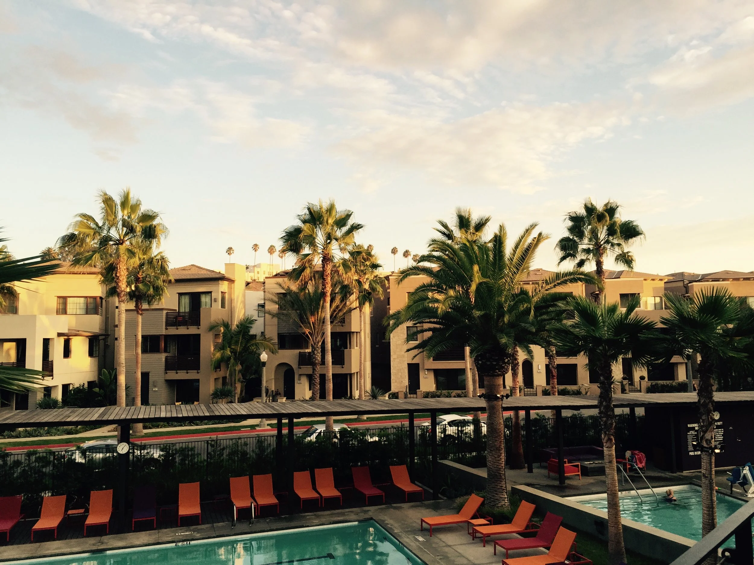 Devi Ohira More Blog Banner.jpeg