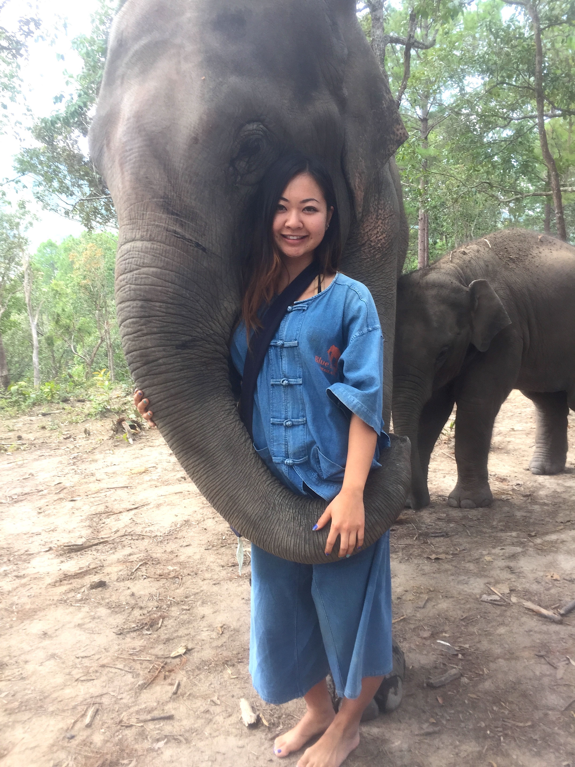 Devi Ohira Chiang Mai Blue Elephant Tours all day zookeeper.JPG
