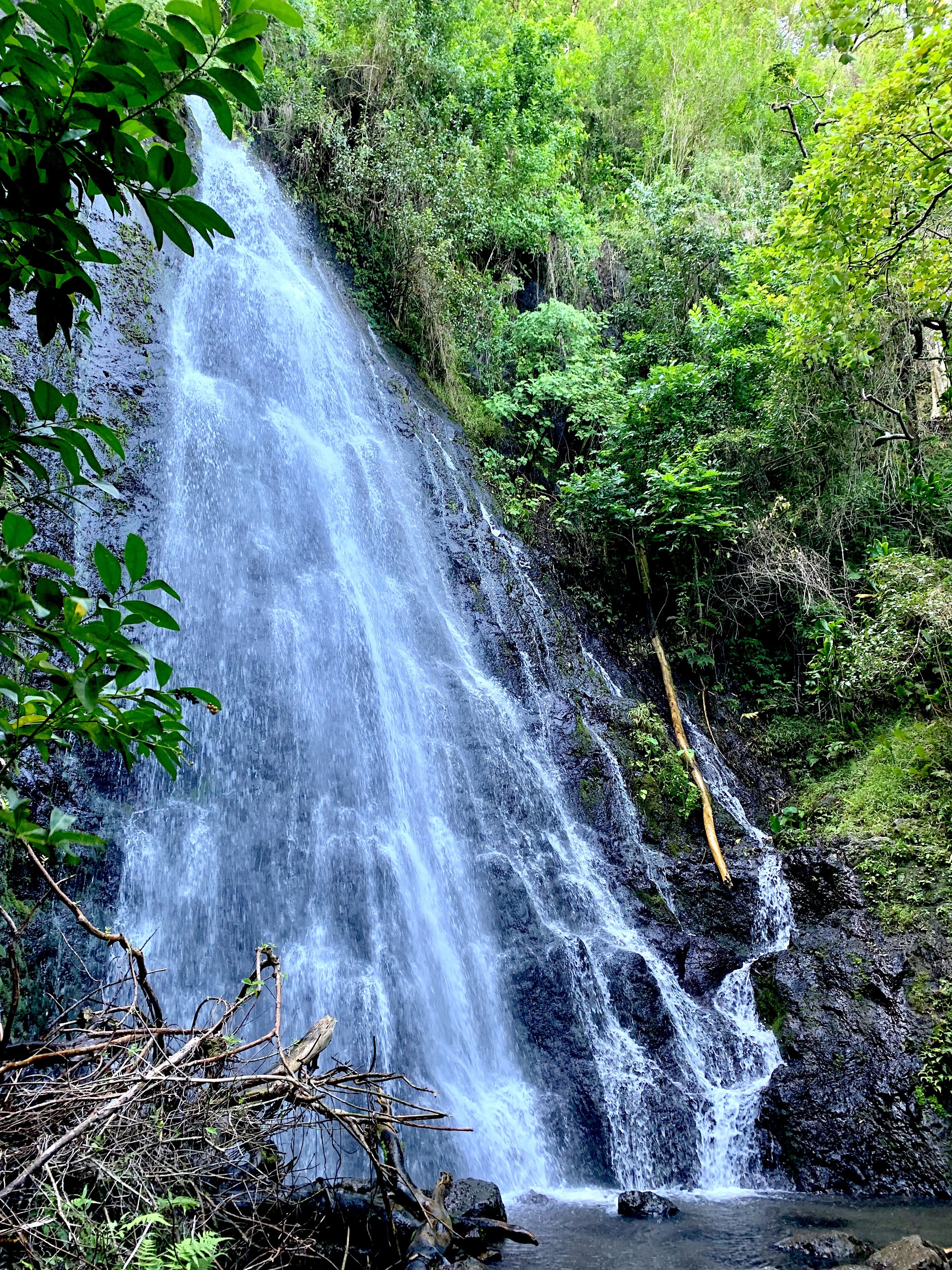 Devi Ohira Oahu Hawaii hikes Hamama Kaneohe windward waterfall nature.JPG