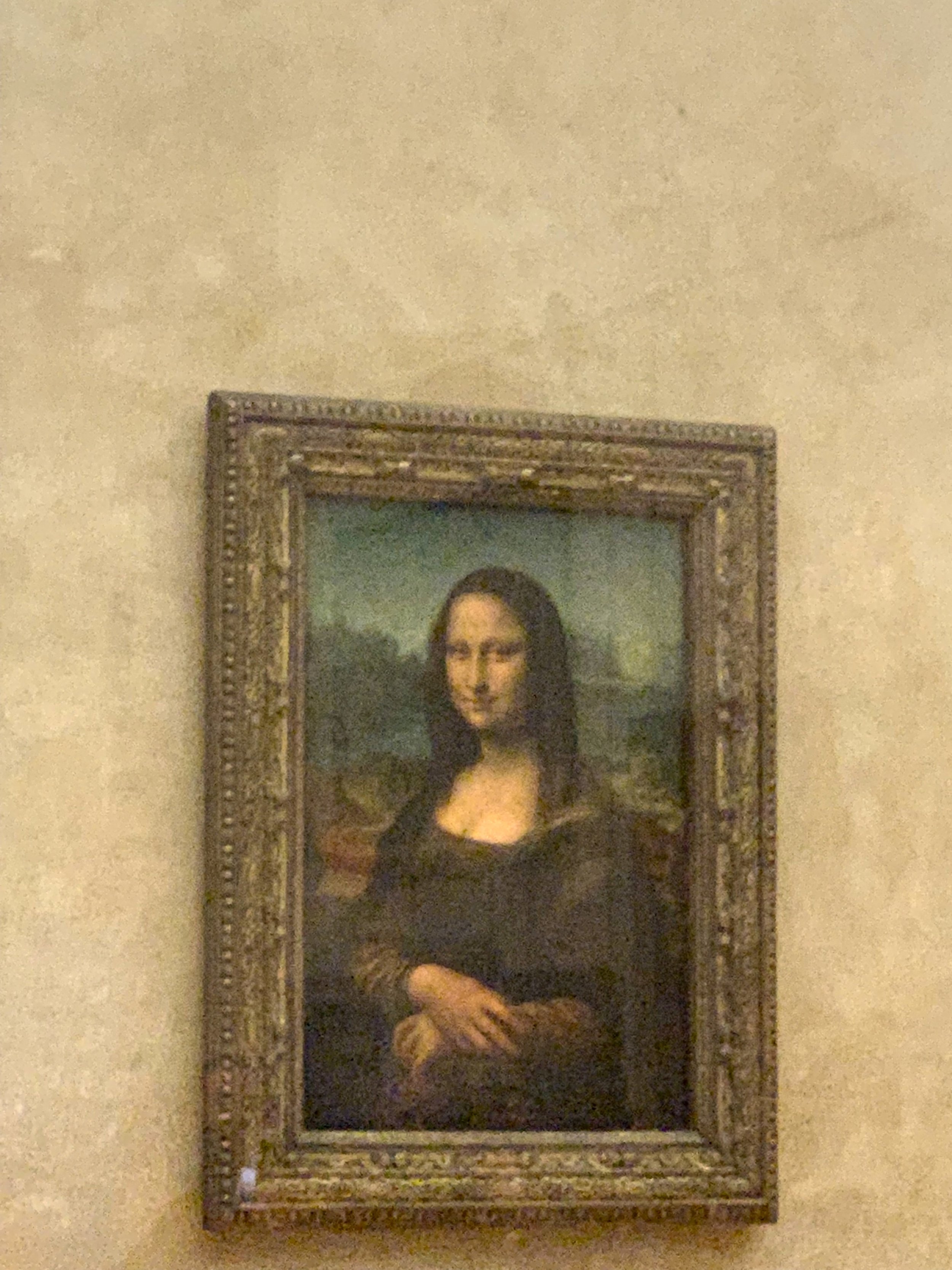 Devi Ohira Louvre museum Paris art Mona Lisa iconic attraction free entry tickets.JPG