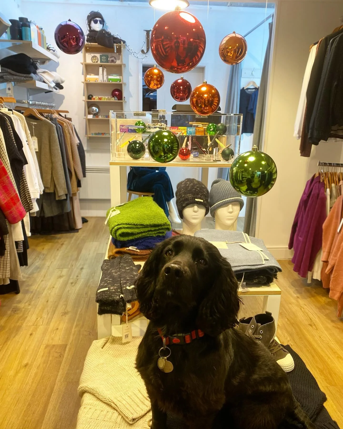 Seasons Greeting from all of us at Joli 🎄 we have such a wide selection of gorgeous womenswear, designer homewares, Christmas gifts and high-end stationary, all in our tiny cottage on Aldeburgh High Street. Come and have a look for yourself ❄️ 
.
.
