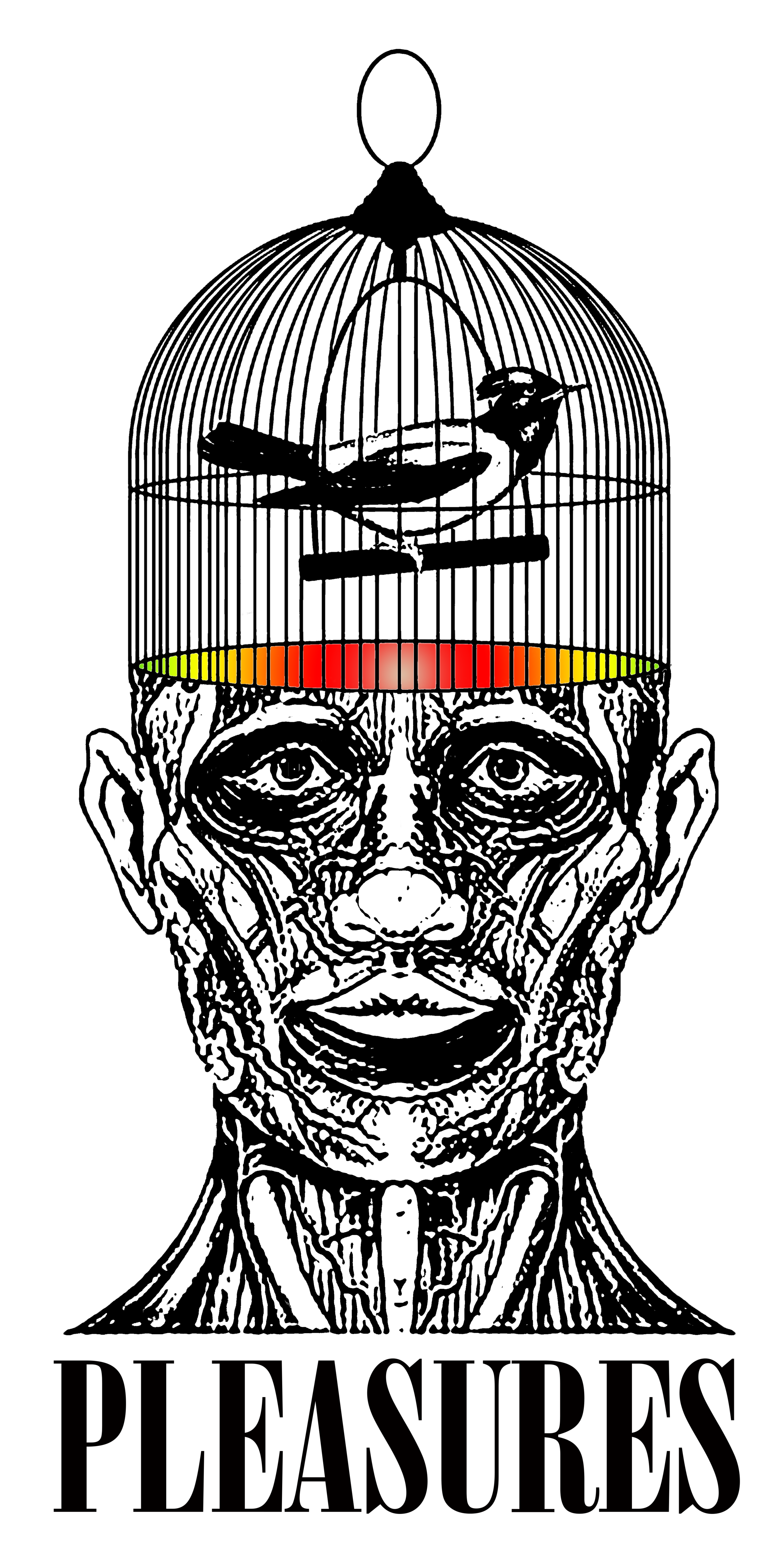 Bird_Brain.png