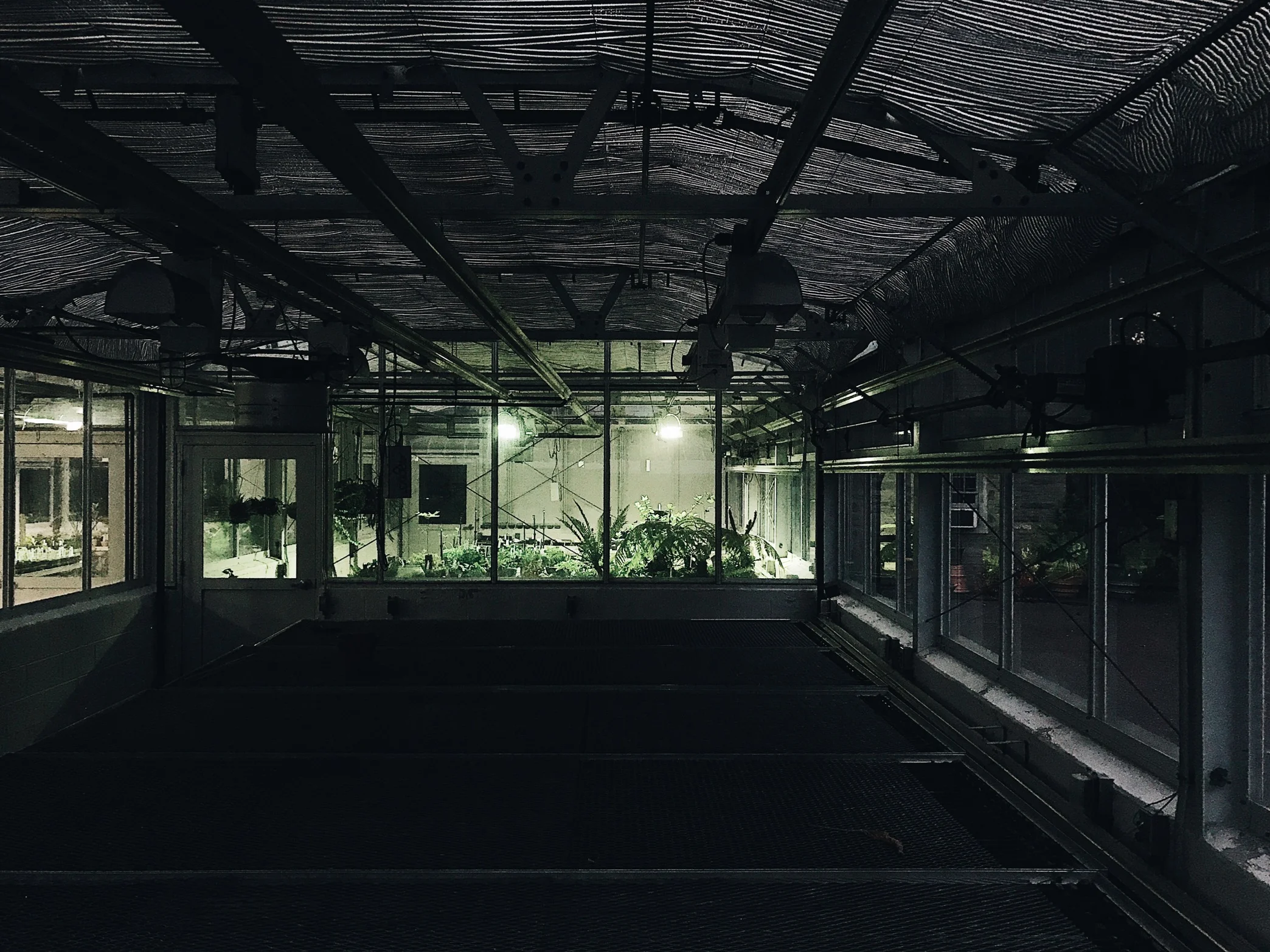 Chestnut Hill, Pennsylvania