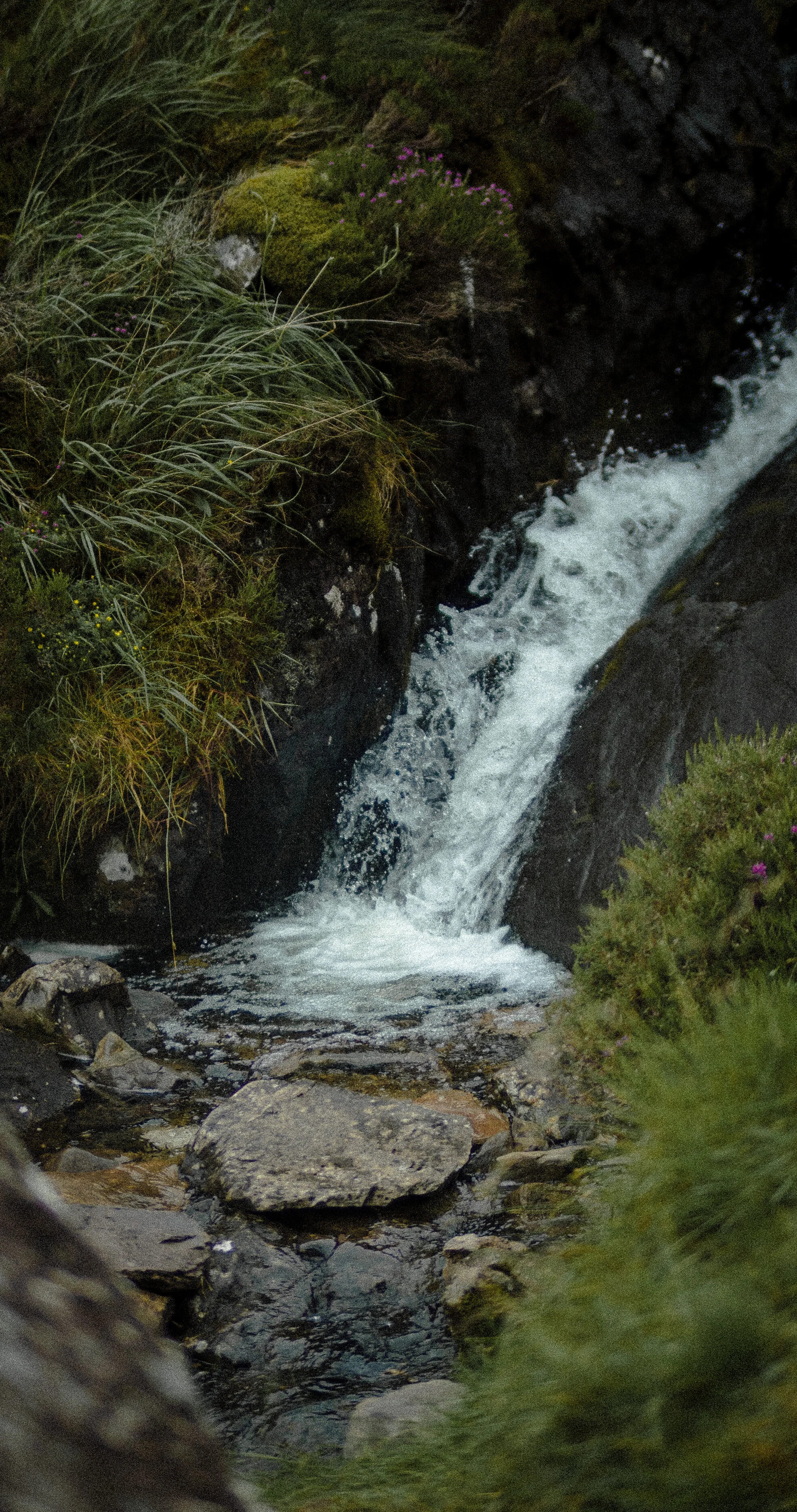 Dingle Peninsula, Ireland