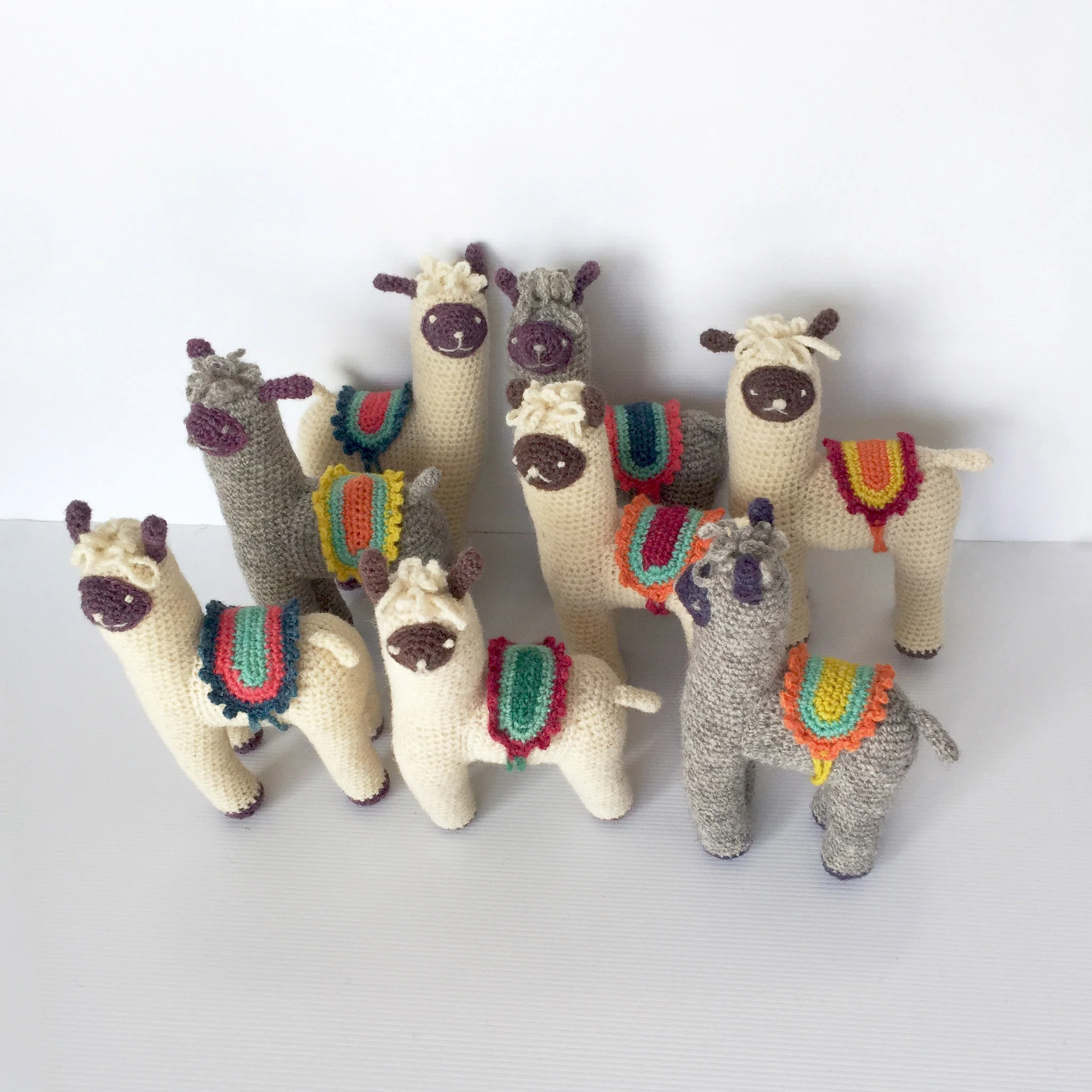 llamas_big_group-copy.jpg