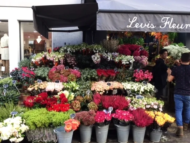 Reconnaissance, Part 2