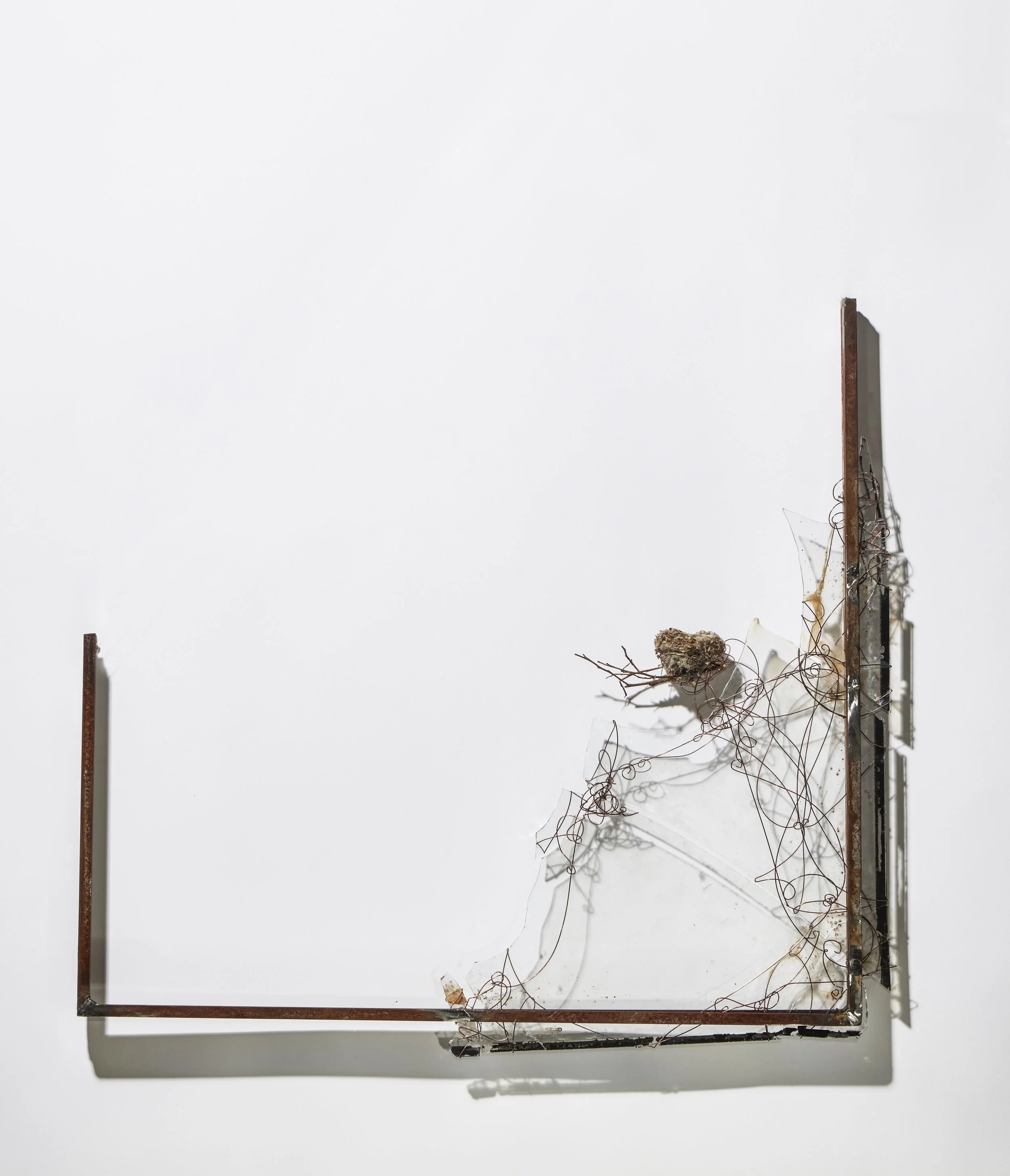 Growing Panes.3Burrow.jpg