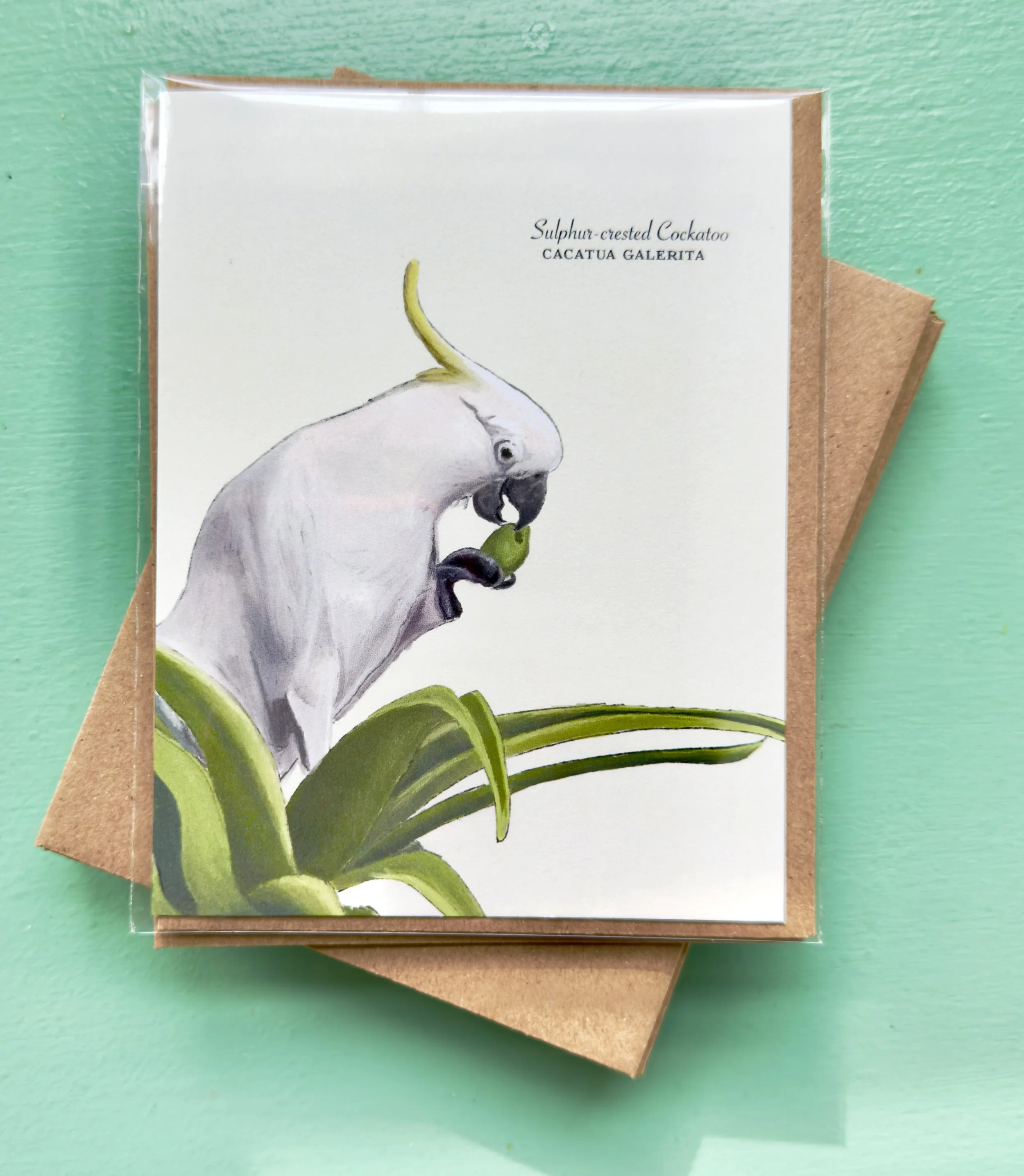 sulphur-crested_packaging.jpg