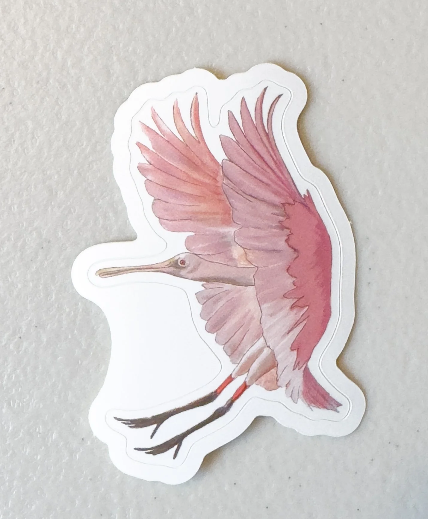 roseate_spoonbill_landing_sticker-backer.jpg