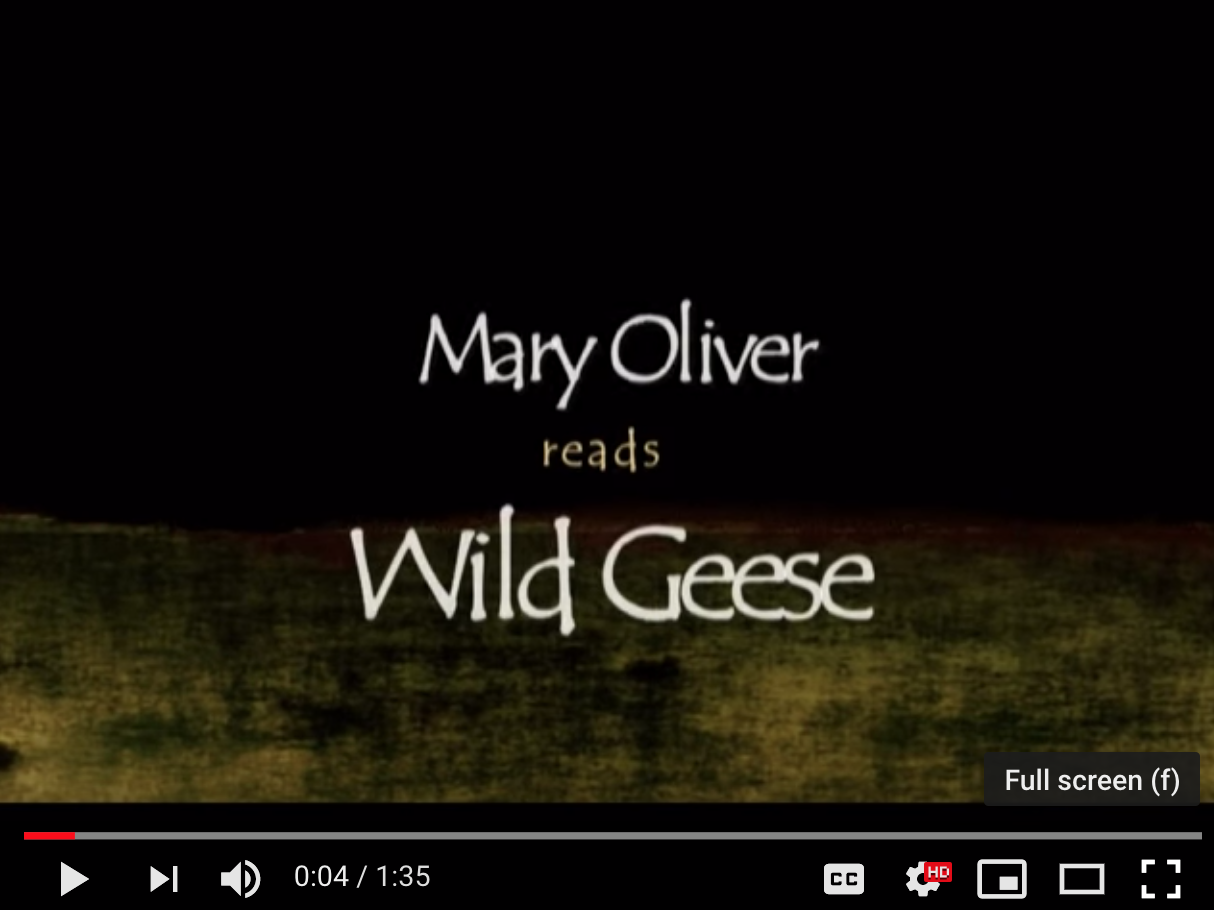 Poem: Mary Oliver reads "Wild Geese"