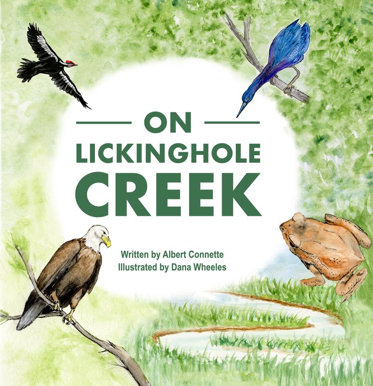 lickinghole_creek_cover.jpg