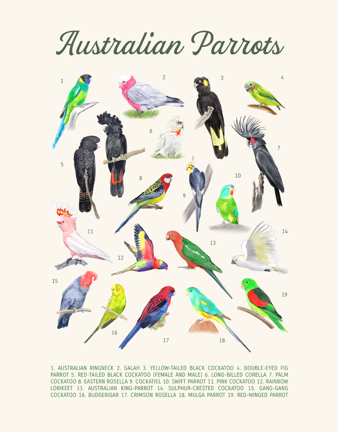 parrots_print_11x14_canonPrinter_pdf.png