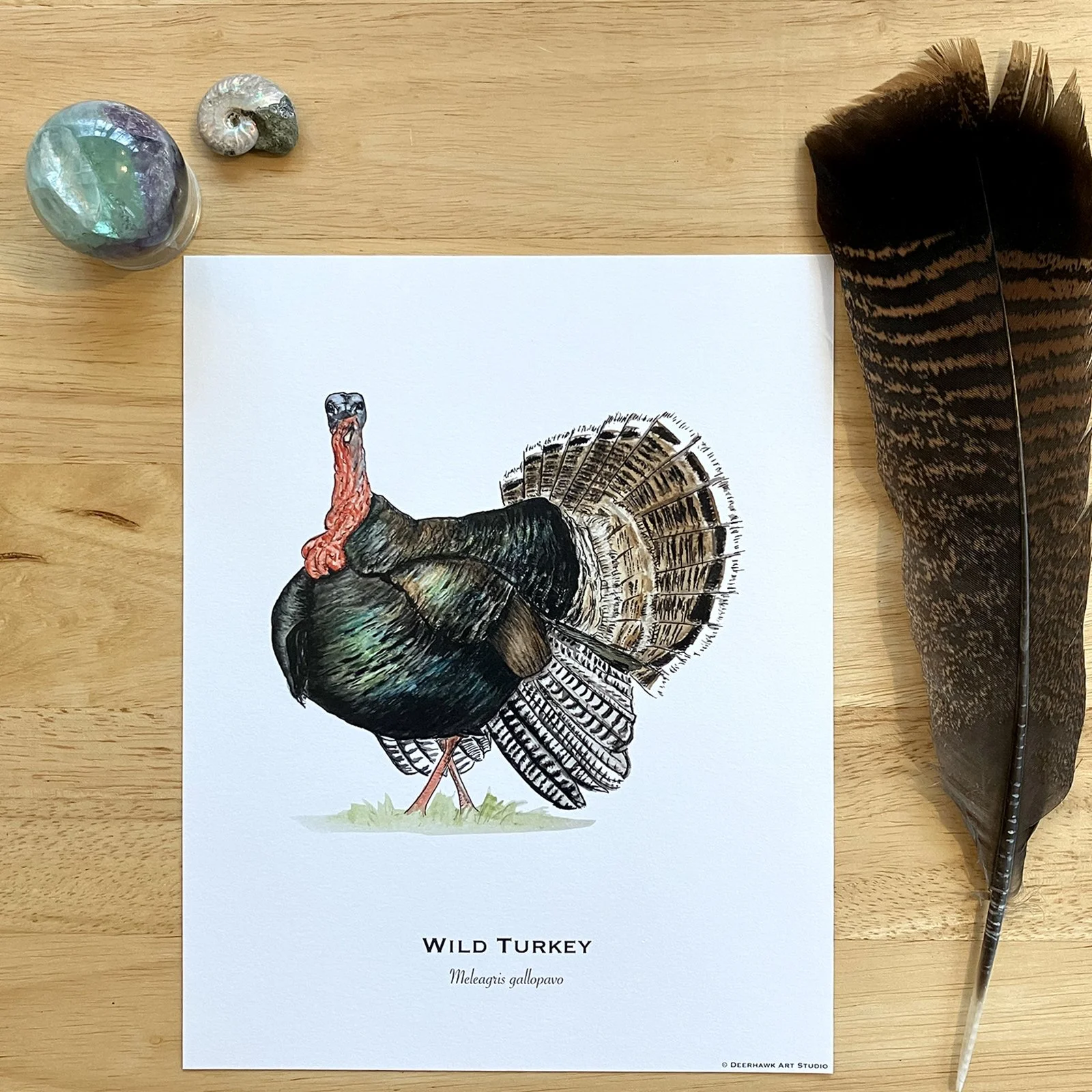 turkey_8x10.jpg