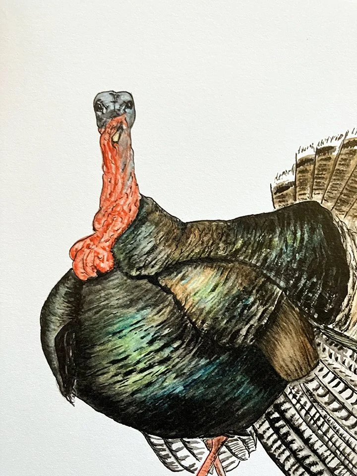 turkey_crop.jpg