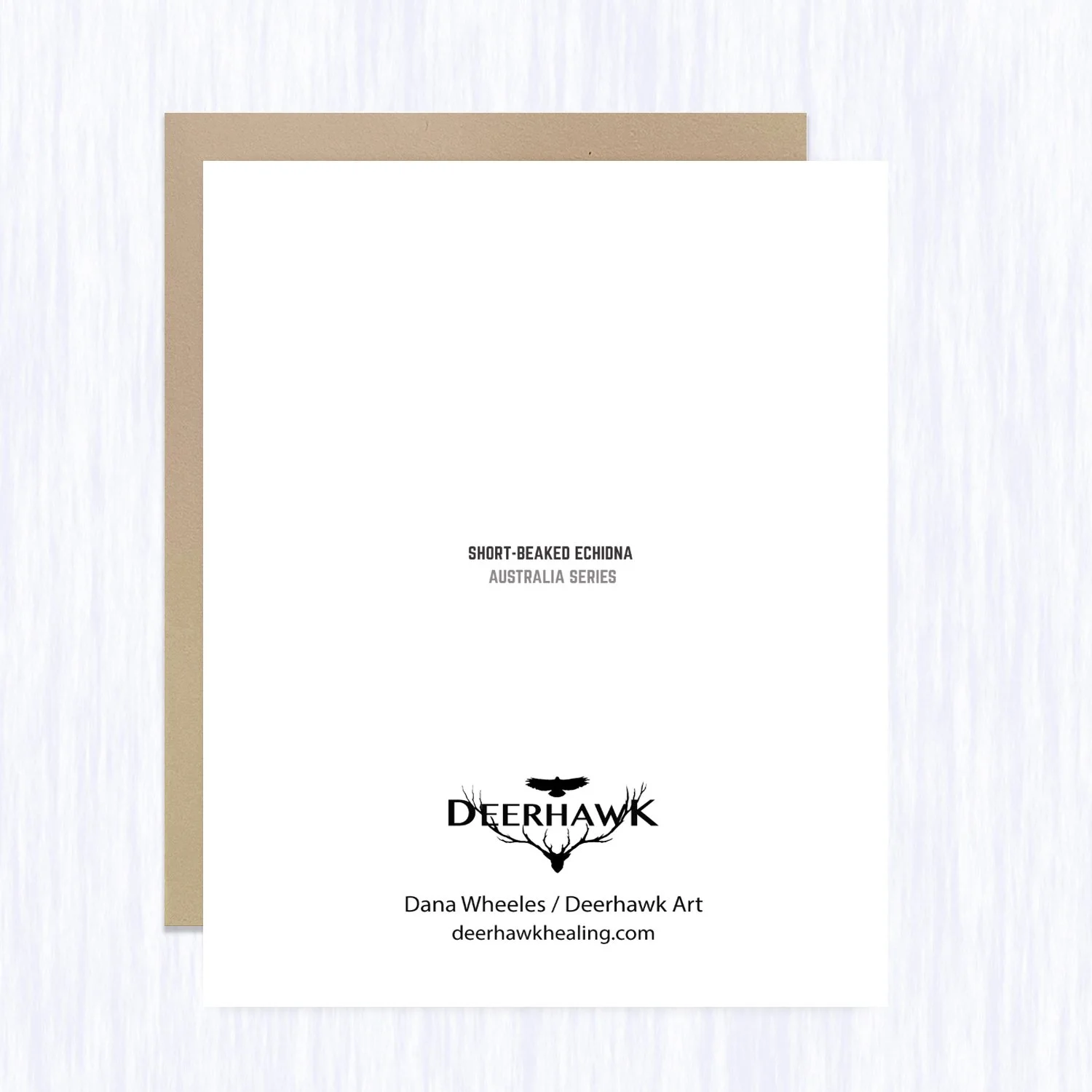 whimsical_echidna_back_brown_env.jpg