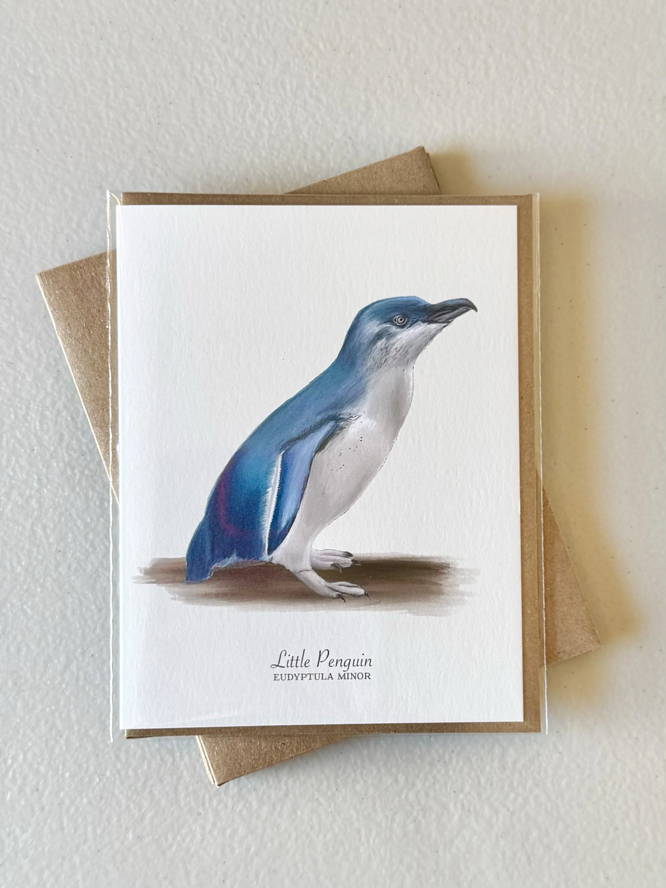 little_penguin_sleeved.jpg