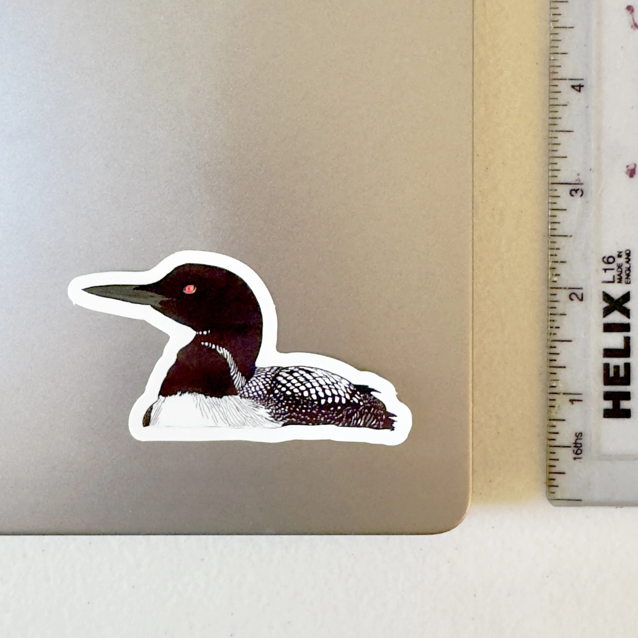 loon_sticker_laptop.jpg