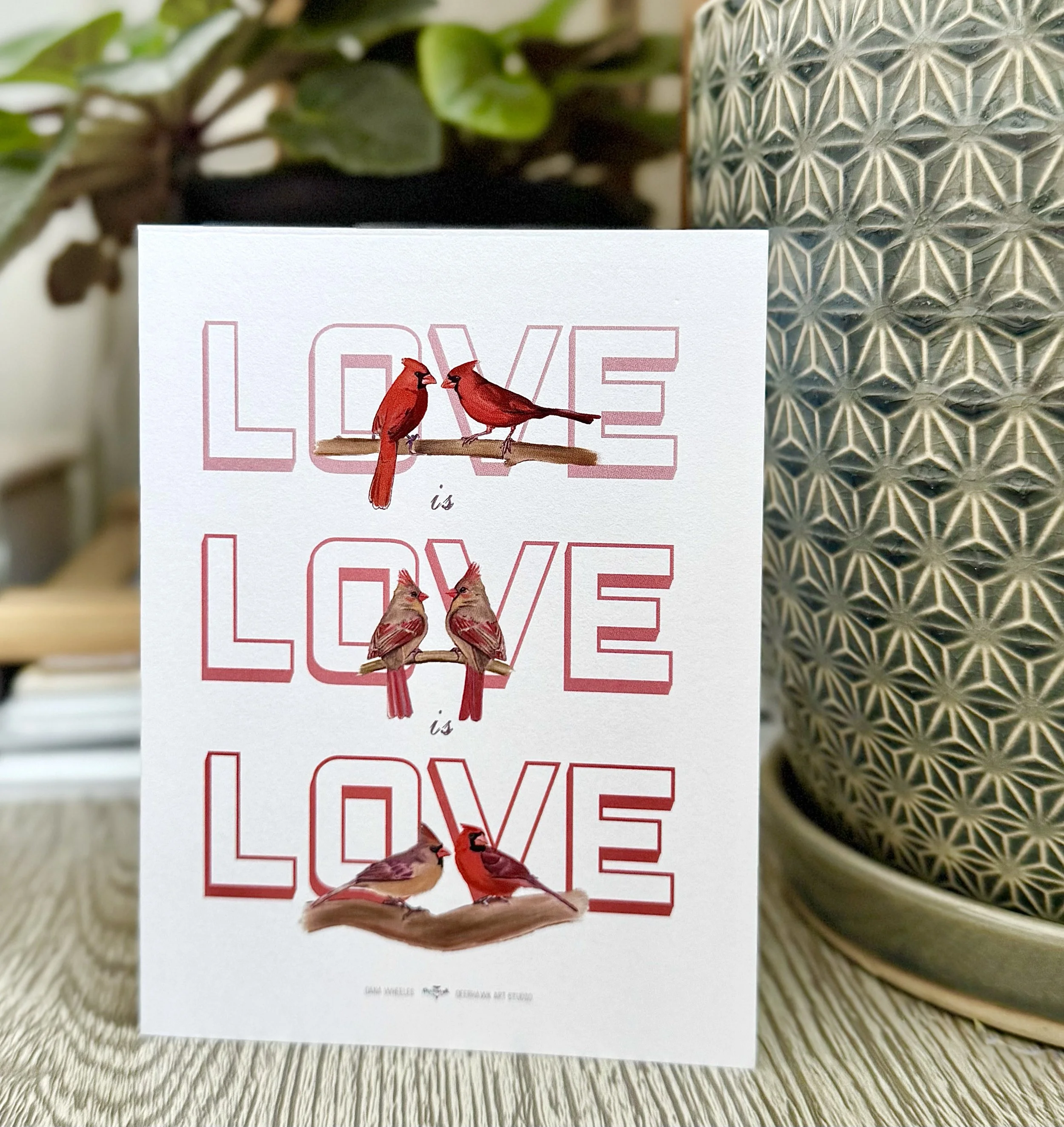 Cardinal_love_staged.jpg