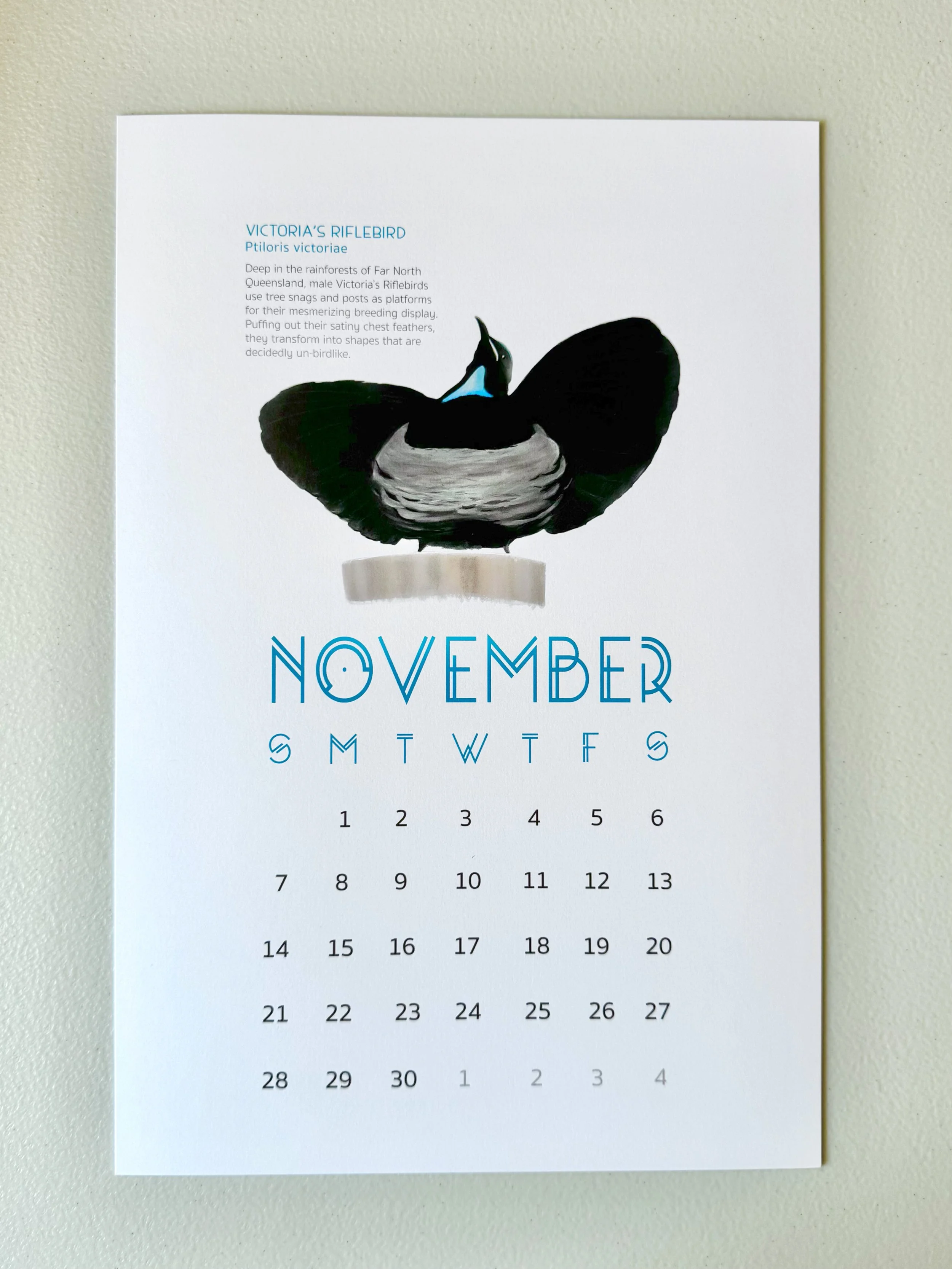 november_proof.jpg