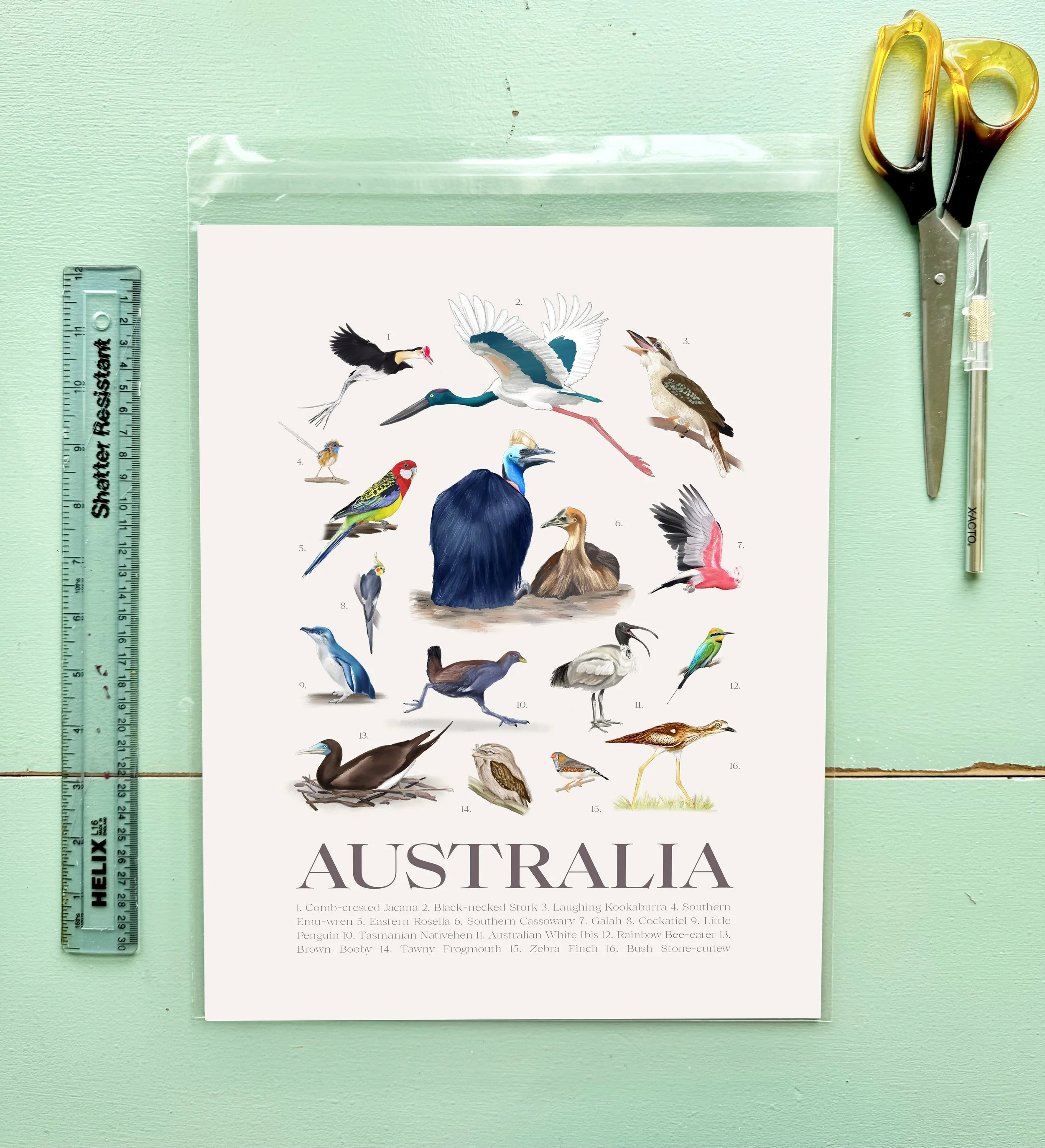 australia_combo__staged_beige11x14.jpg