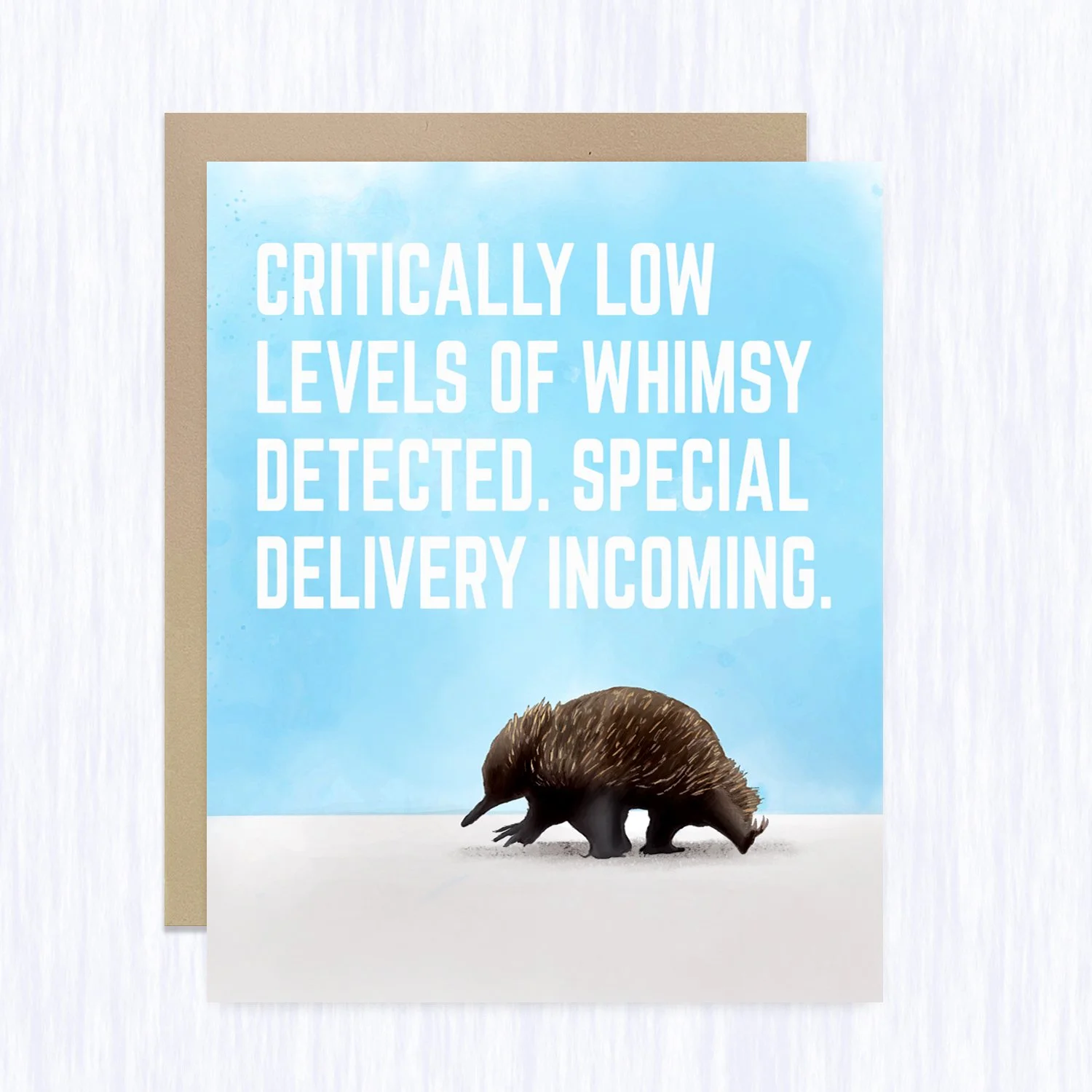 whimsical_echidna_brown_env_fill.jpg