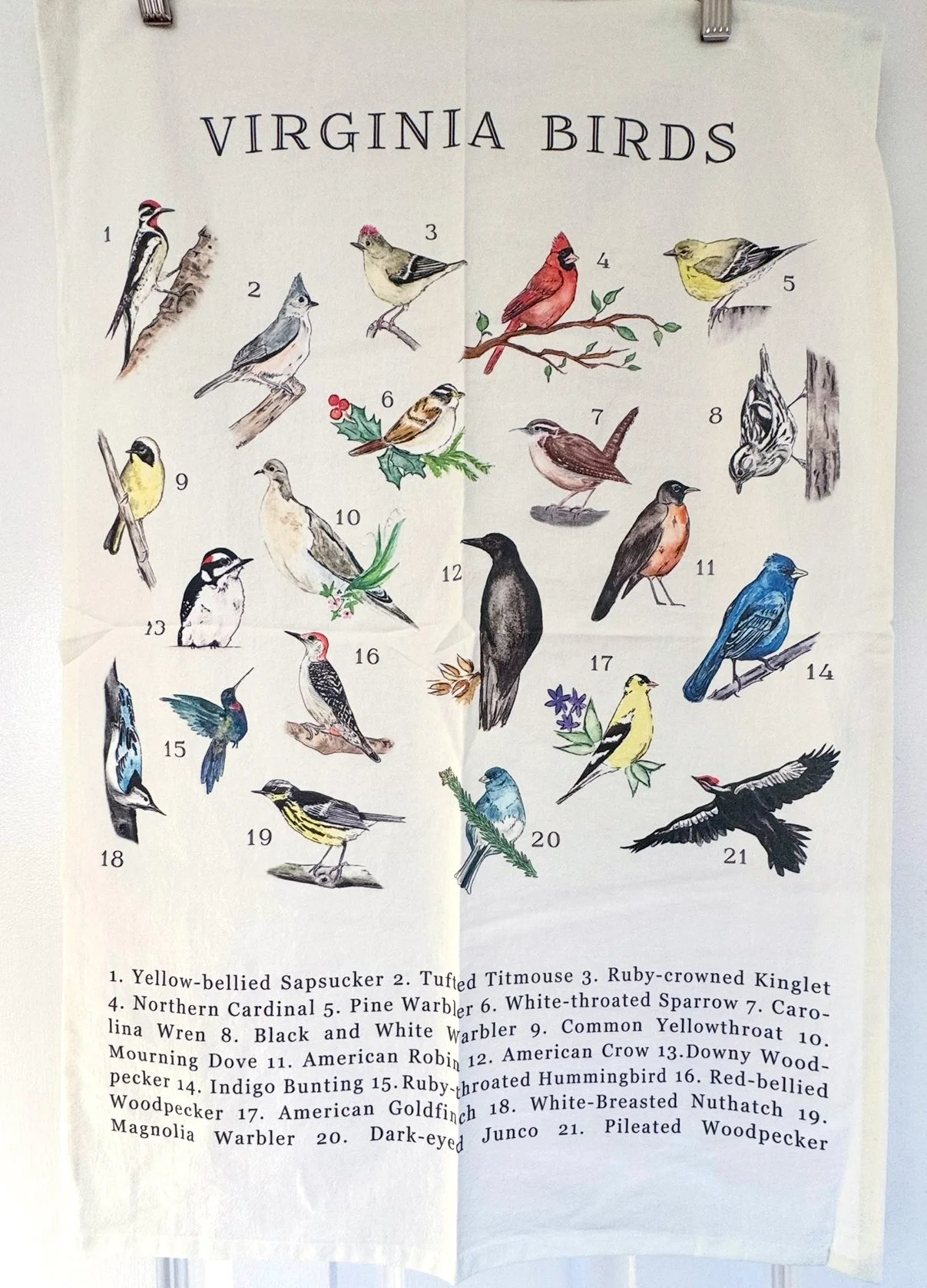 View recent photos 36.jpg