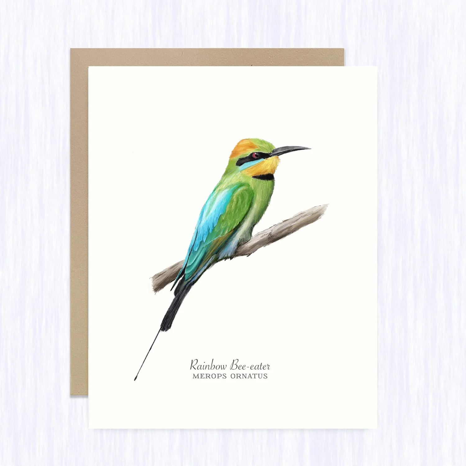 rainbow-bee-eater_brown_env_fill.jpg