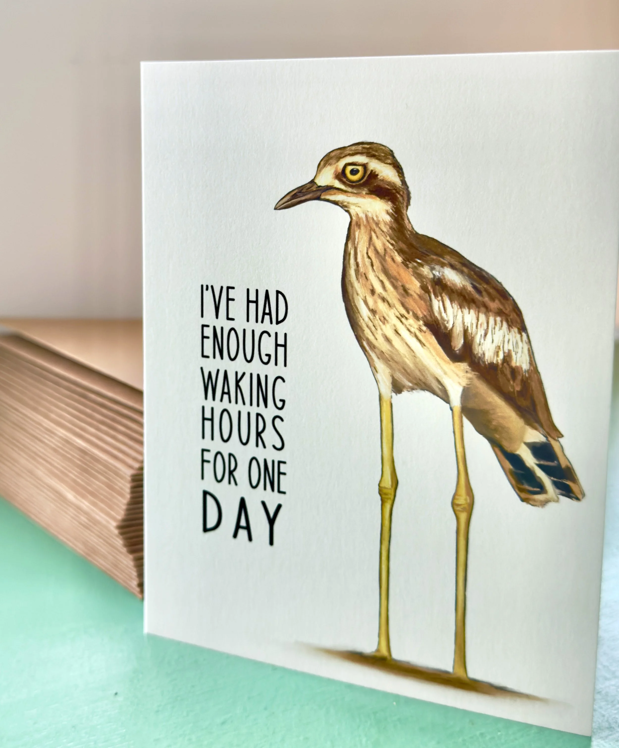 funny_curlew.jpg