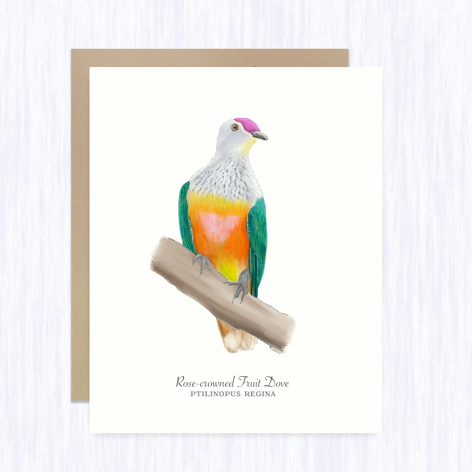 rose-crowned-fruit-dove_brown_env_fill.jpg
