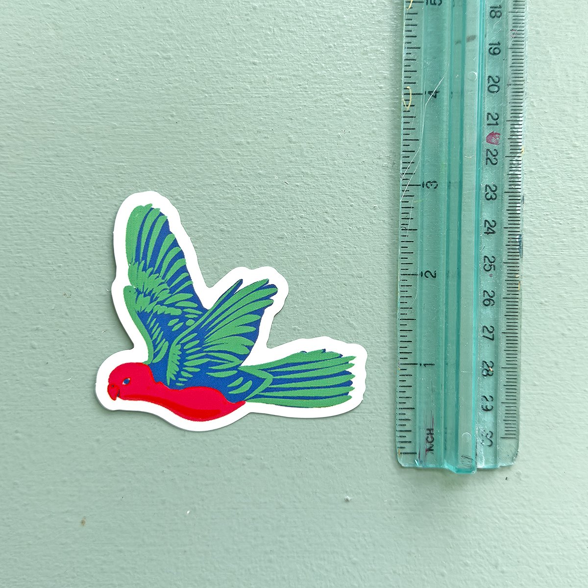 king_parrot_w-ruler.jpg