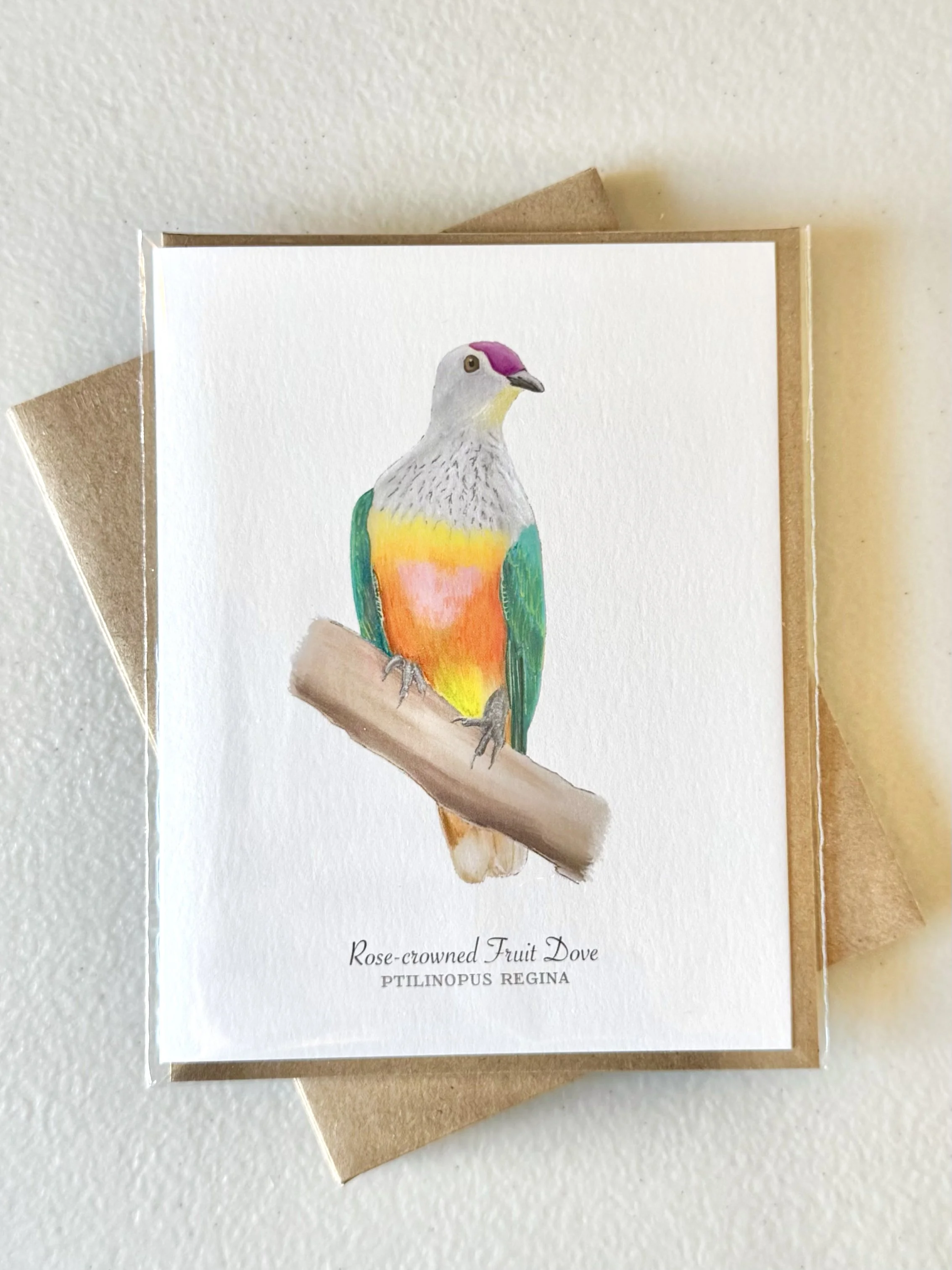 rose-crowned-fruit-dove-sleeved.jpg