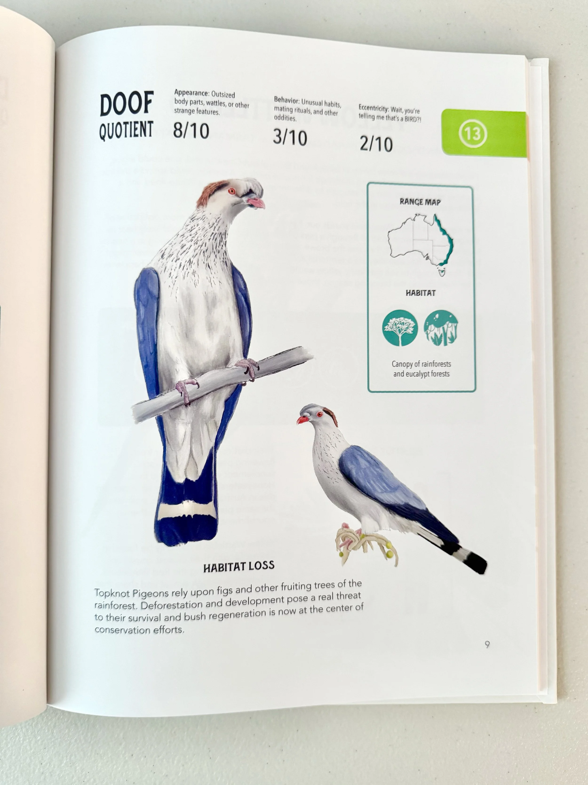 topknot-pigeon_feature.jpg