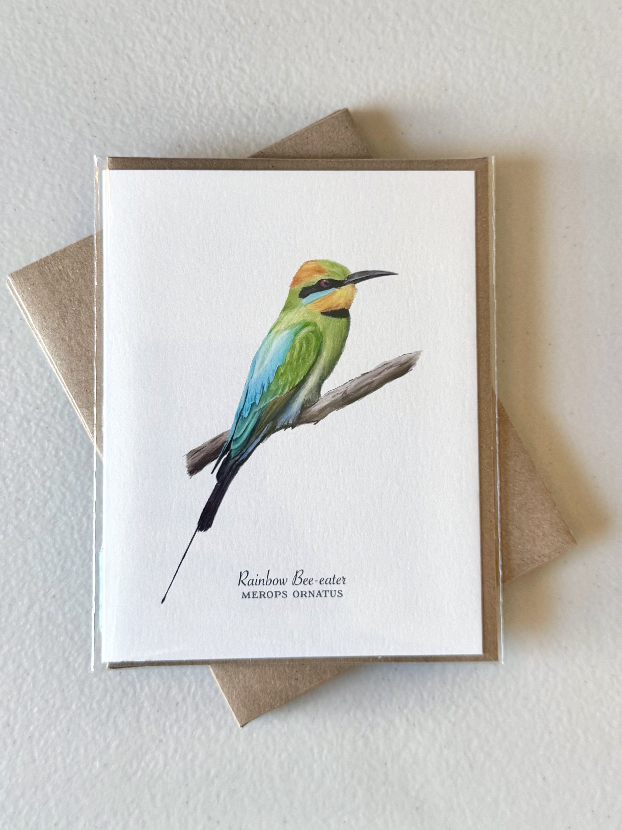rainbow-bee-eater-sleeved.jpg