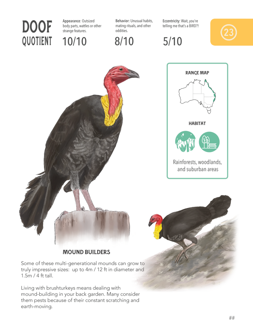 brushturkey_pdf_page.png