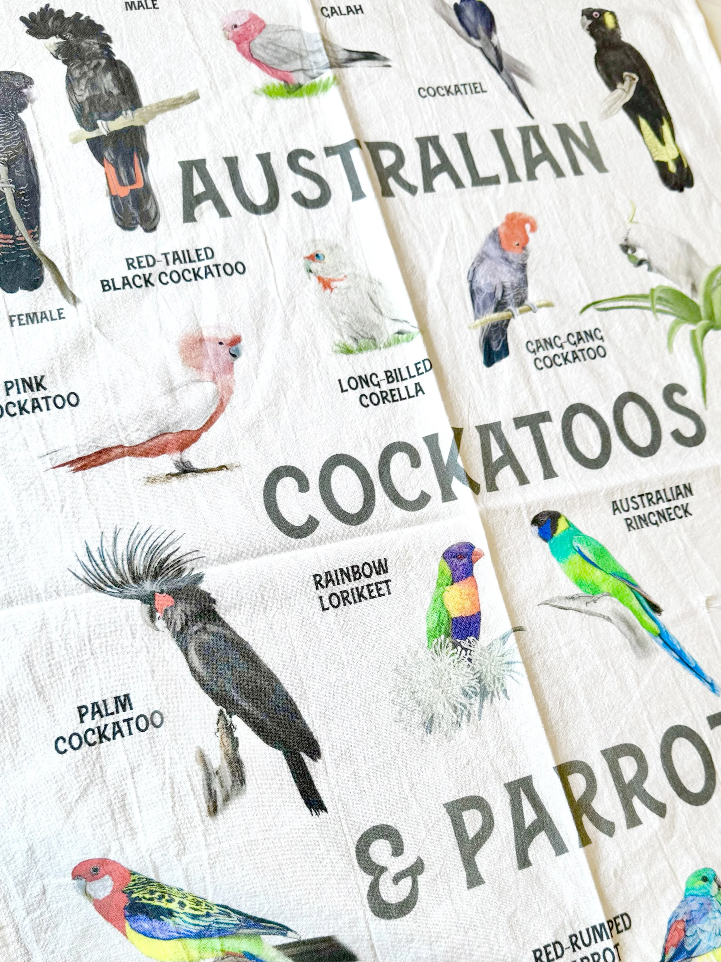 aussie_parrots_tea_towel_crop.jpg