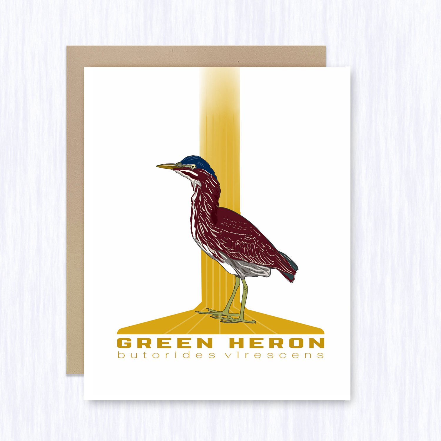 green_heron_brown_env_fill.jpg