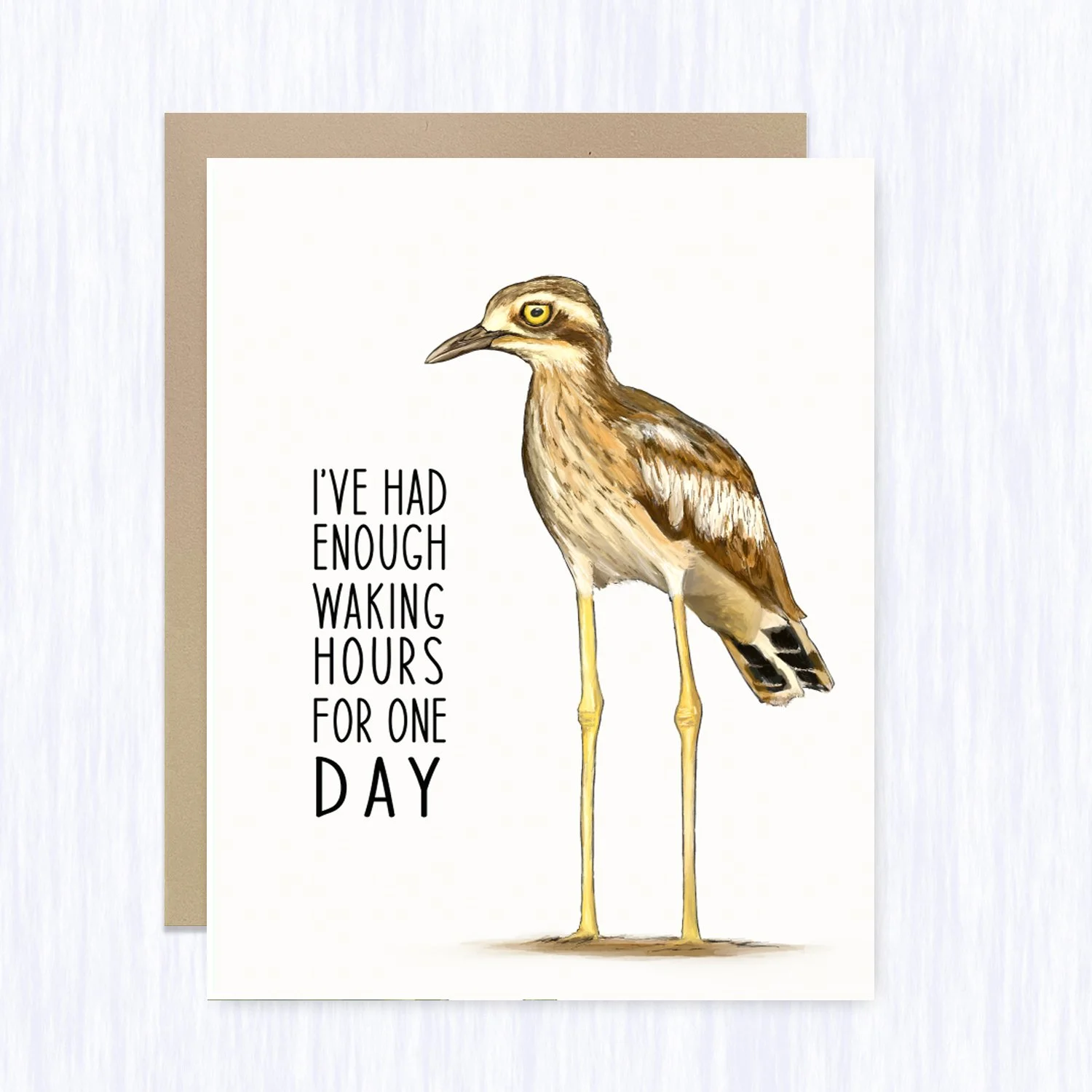 curlew_waking_hours_brown_env_fill.jpg