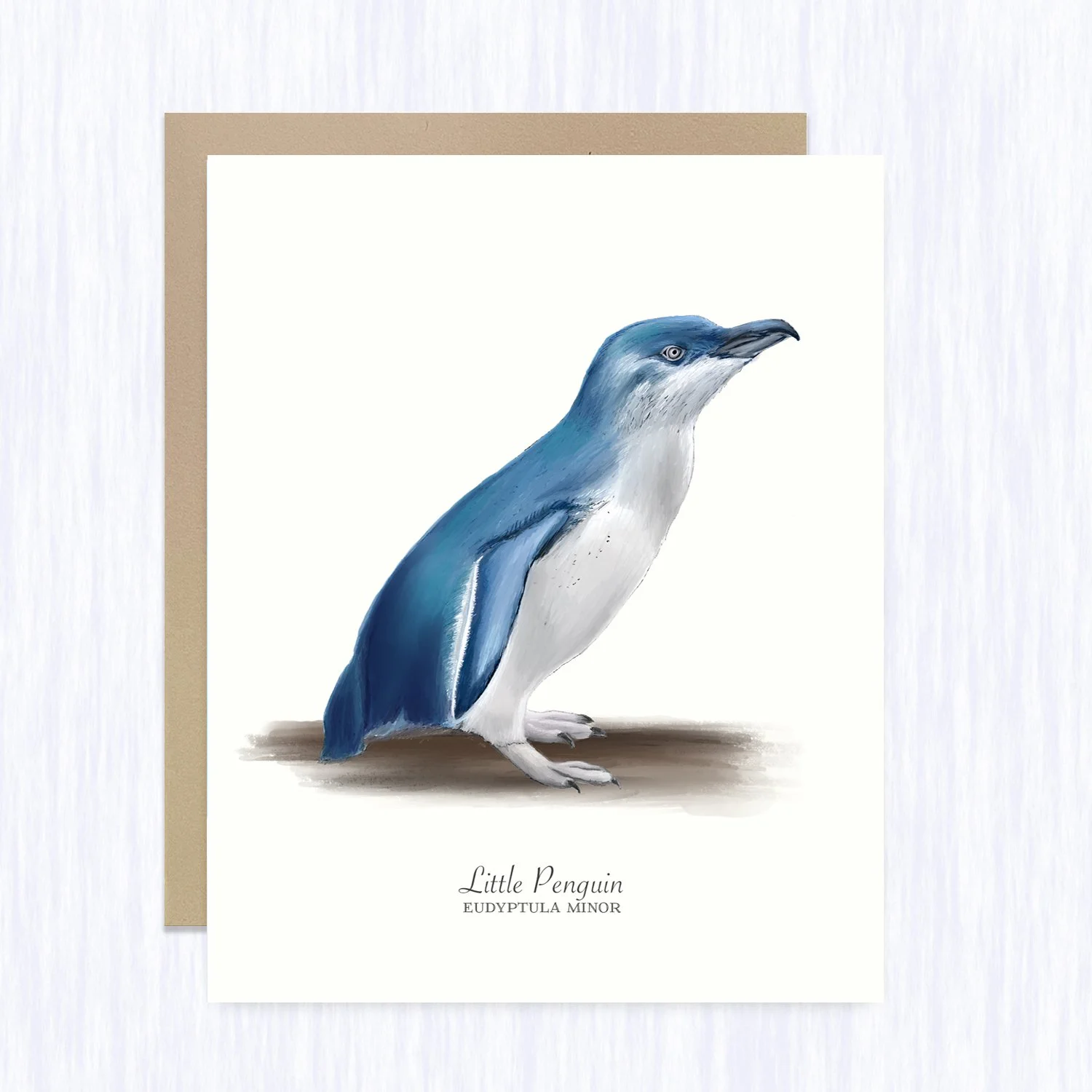 little_penguin_brown_env_fill.jpg