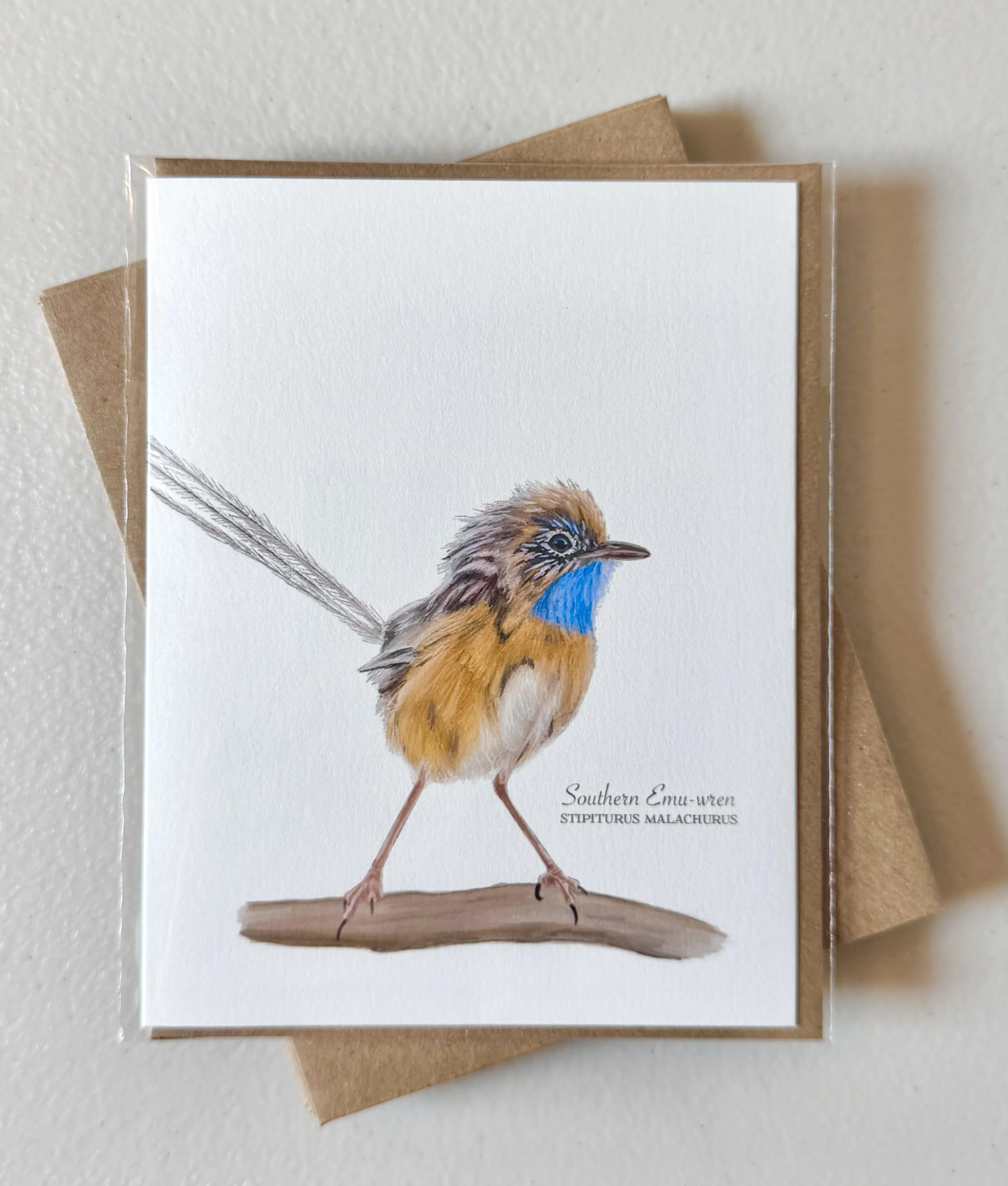 southern_emu-wren_sleeved.jpg