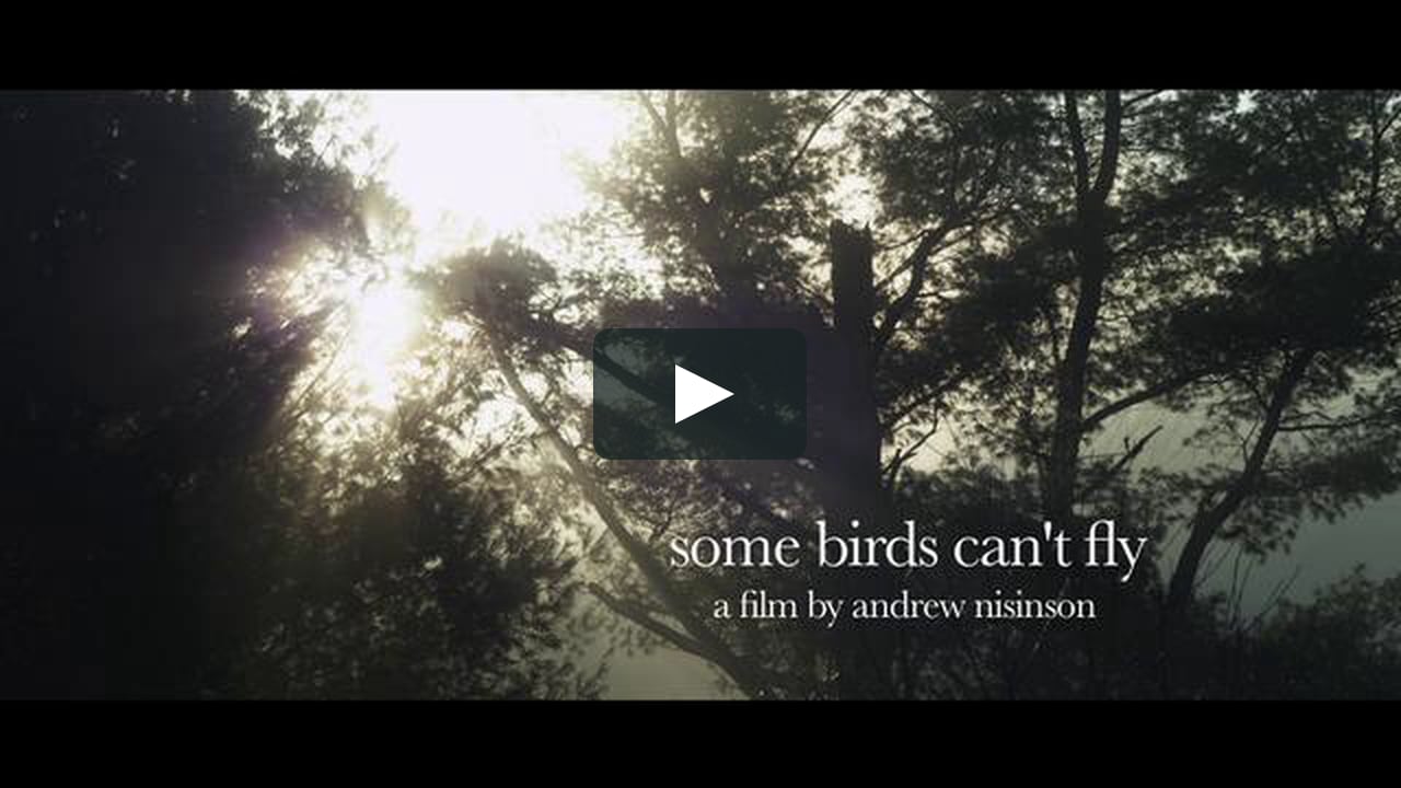 Some Birds Can't Fly (Dir. Andrew Nisinson)