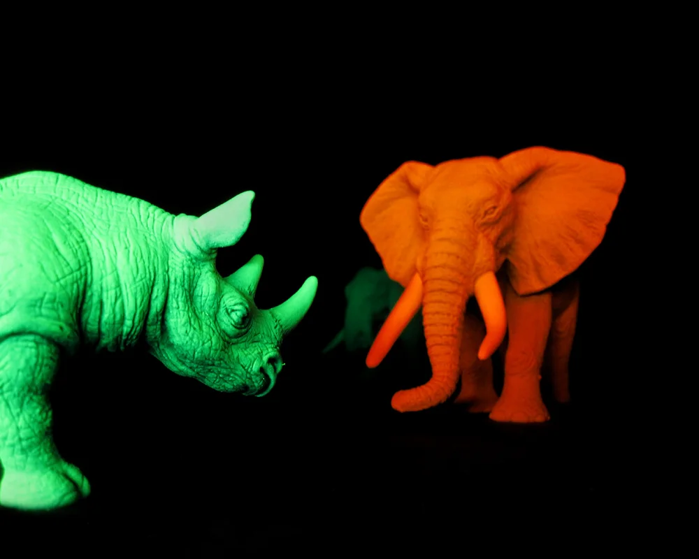 JVS_photo elephant-and-rhino.jpg