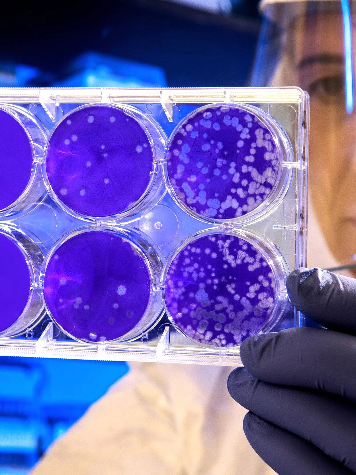 Research on Biobots is happening on college campuses