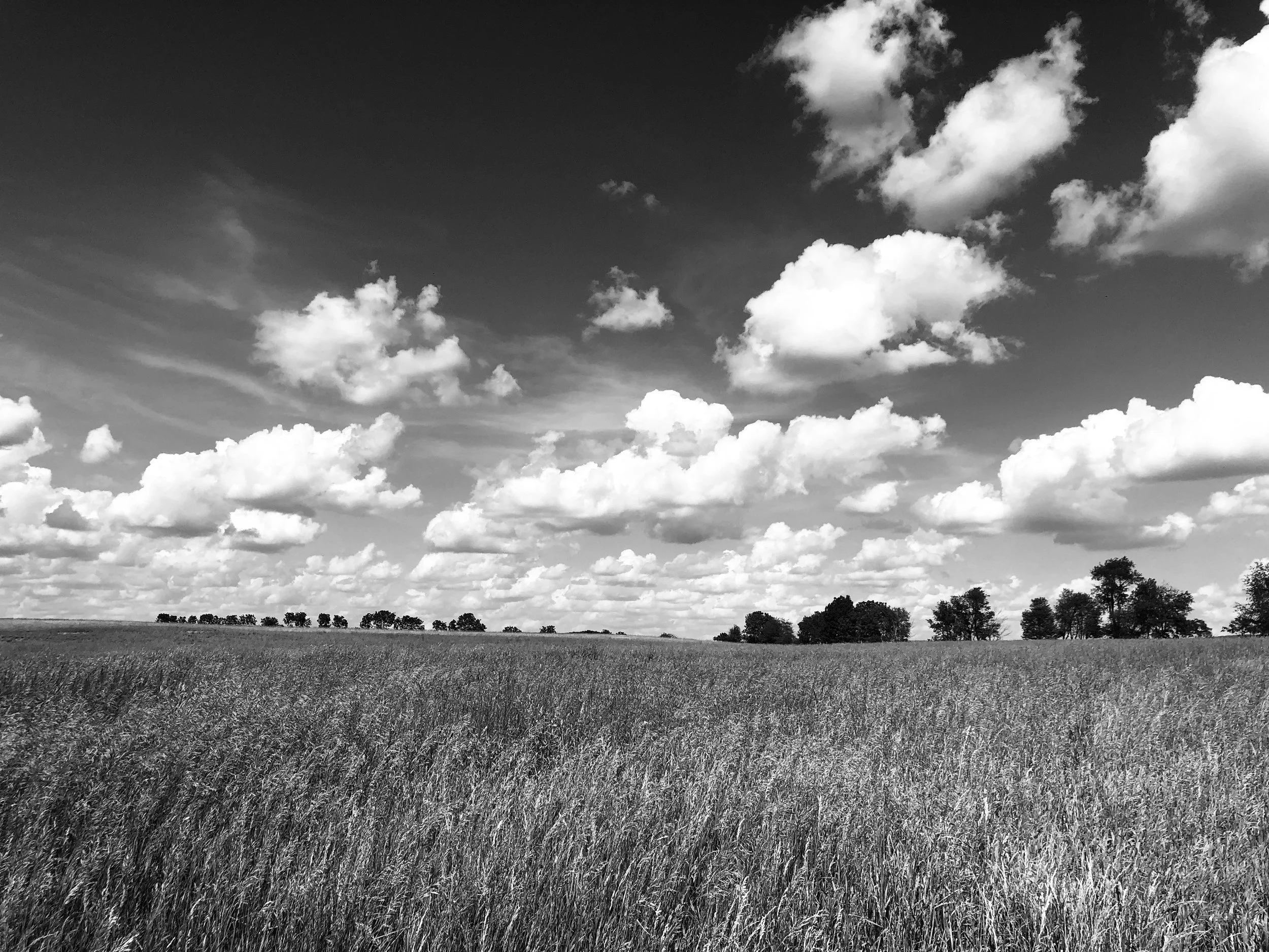 The Love of a Father