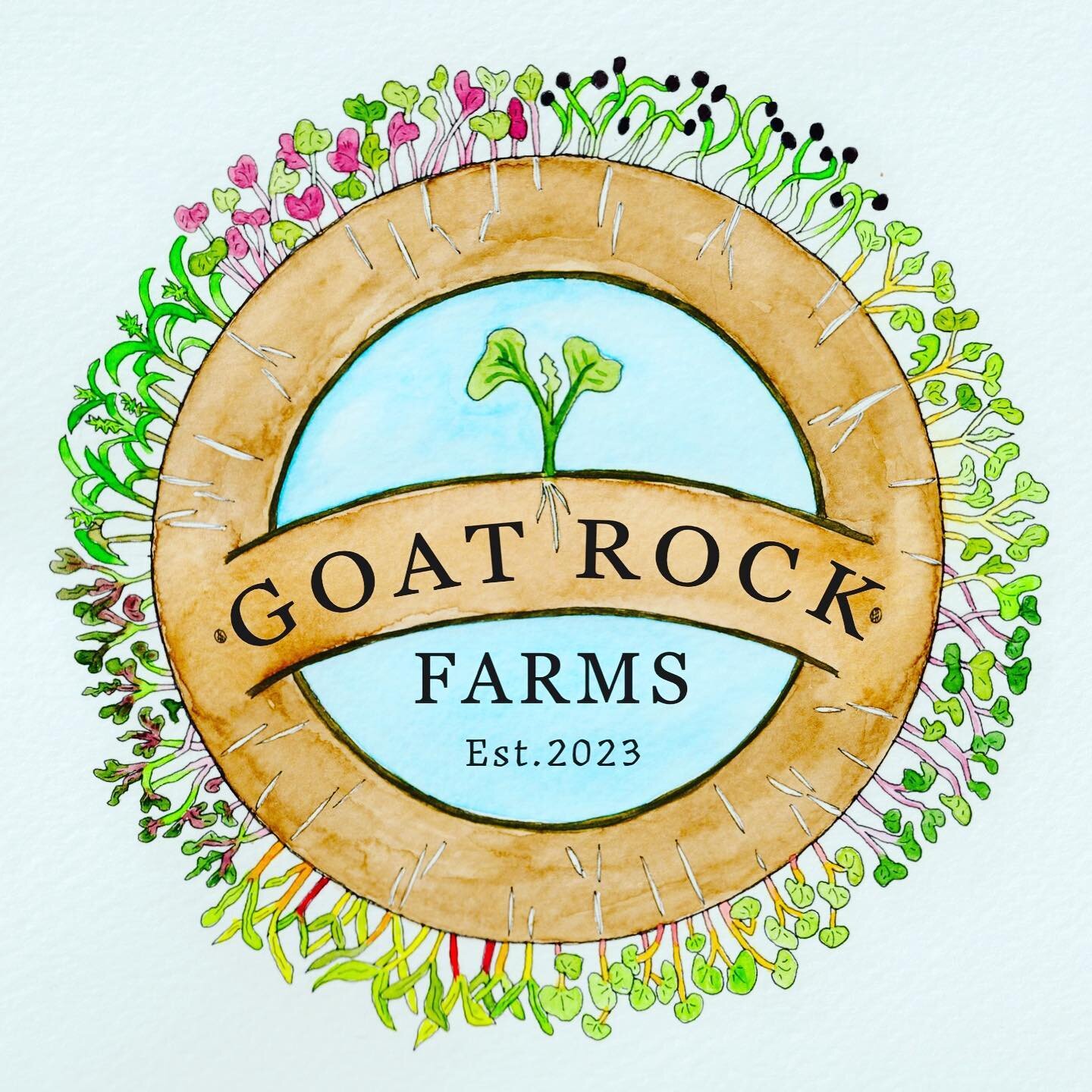 Taking orders for a special Sourdough Bread Day on  April 28th!! If you didn&rsquo;t know, Gray has been growing micro greens (Goat Rock Farms) and they are delicious and a total nutritional powerhouse!  I wanted to bake them into my sourdough to mak